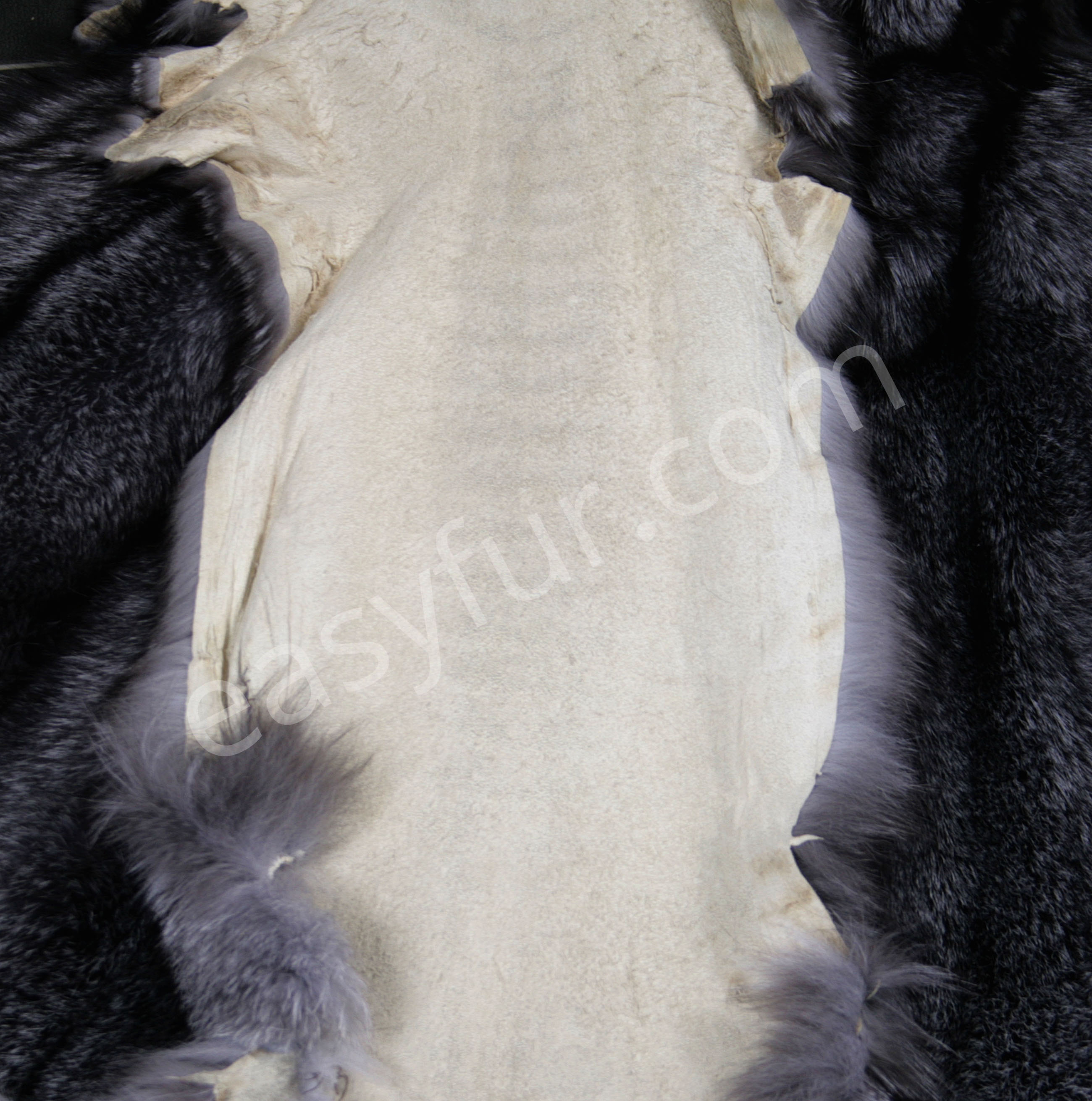 blue-frost-skins-bluefrost-6