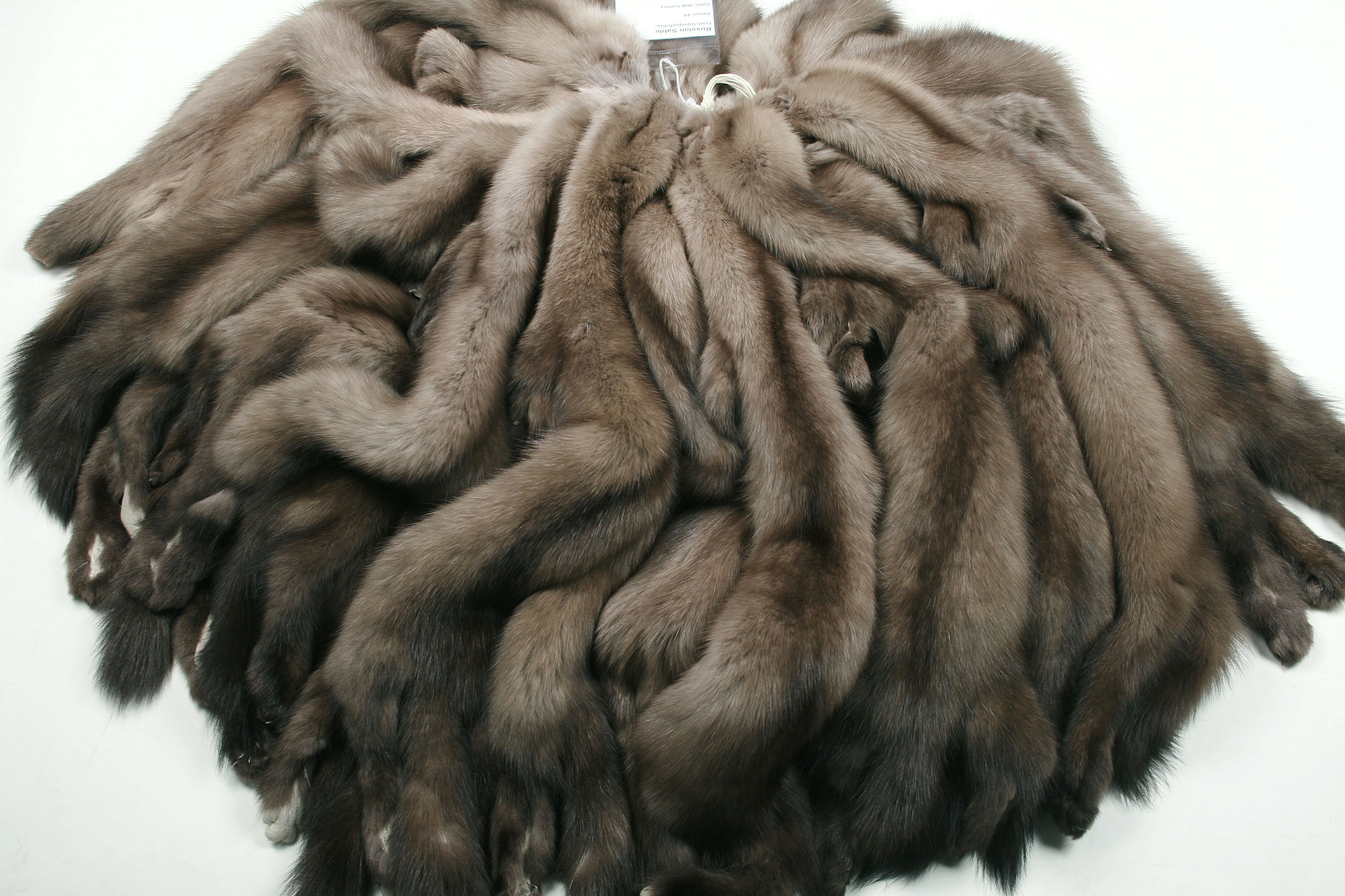 russian-sable-skins-bargusin-grey-4