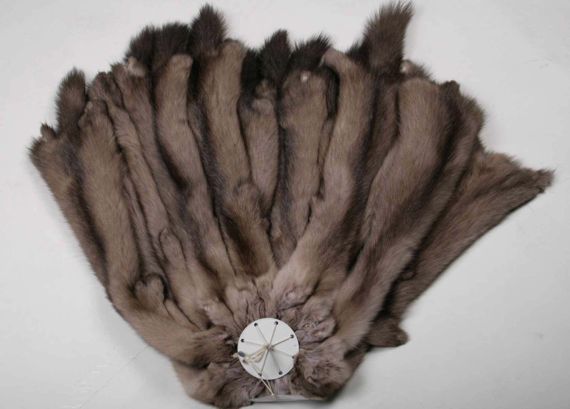 russian-sable-tortora-brown-skins-1