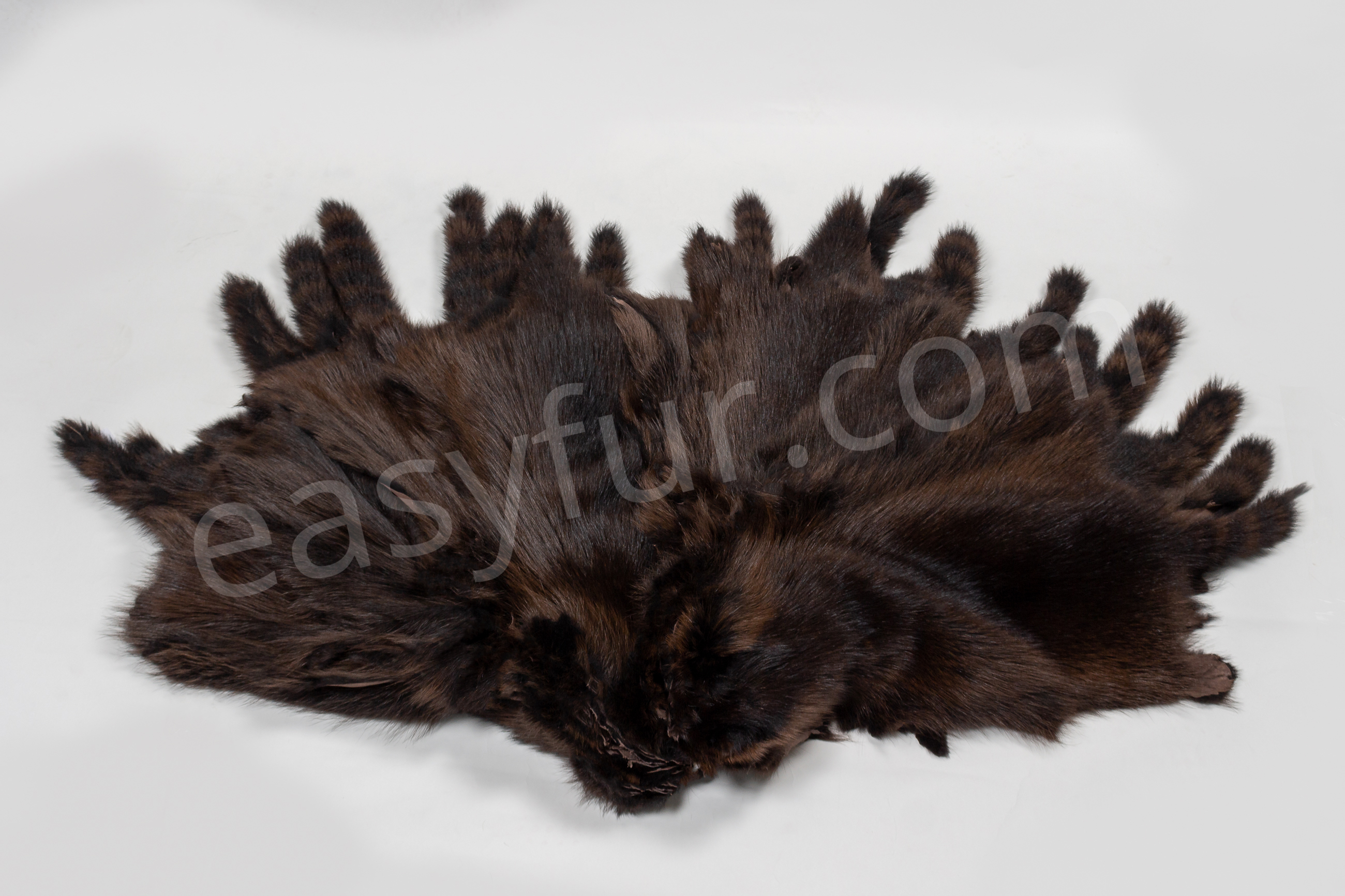 Raccoon Fur Skins in dark brown