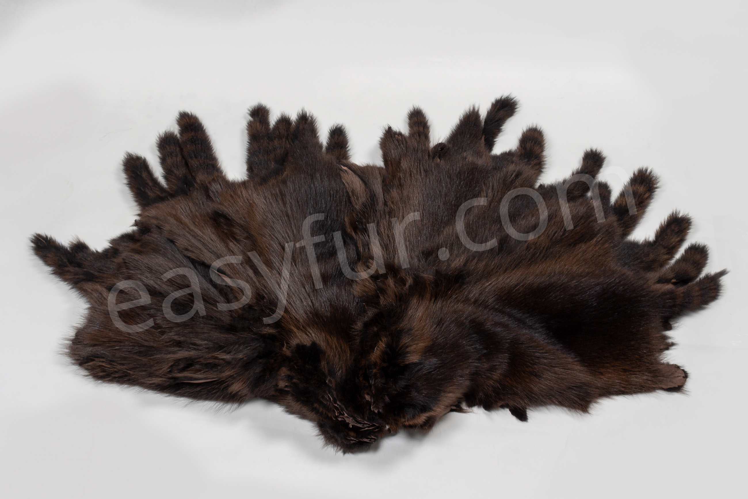 1-1858-Waschaer-Felle-Raccoon-Fur-Skins-Easyfur