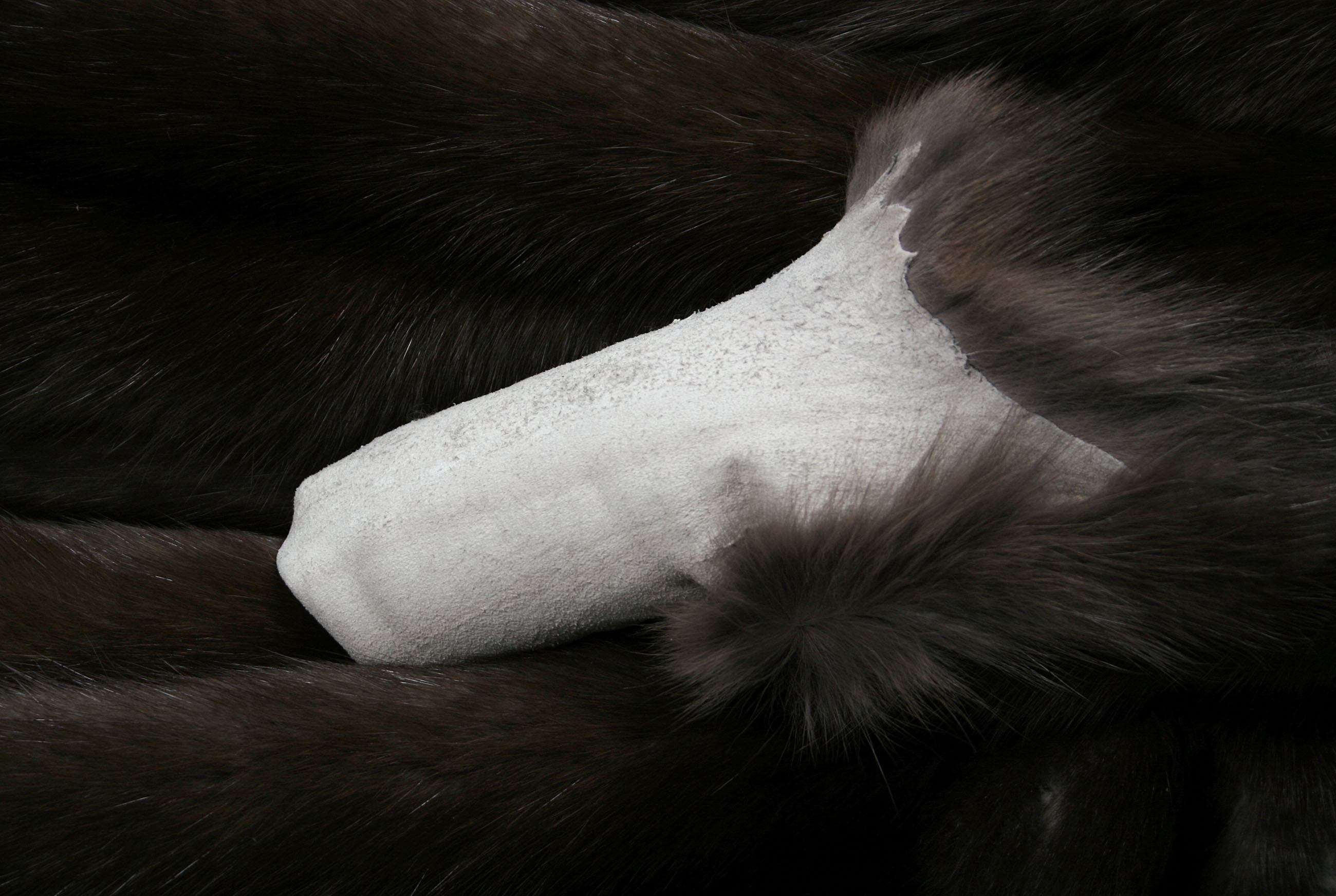 dark-russian-bargusin-sable-skins-3