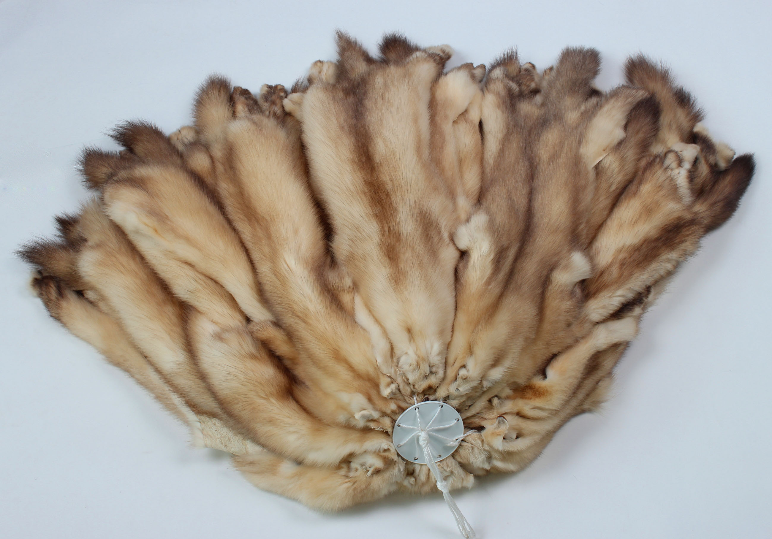 4-russian-barguzin-Sable-Skins-sojuzpushnina