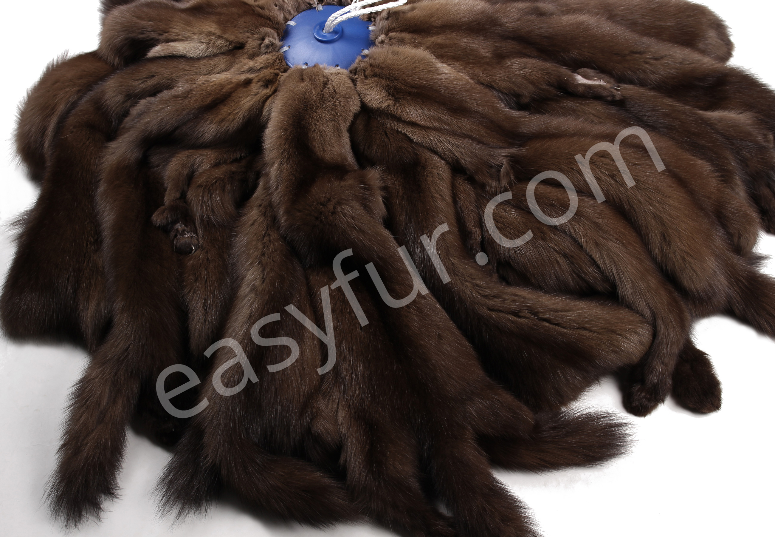02-5492-Russian-Bargusin-Sable-Skins-easyfur