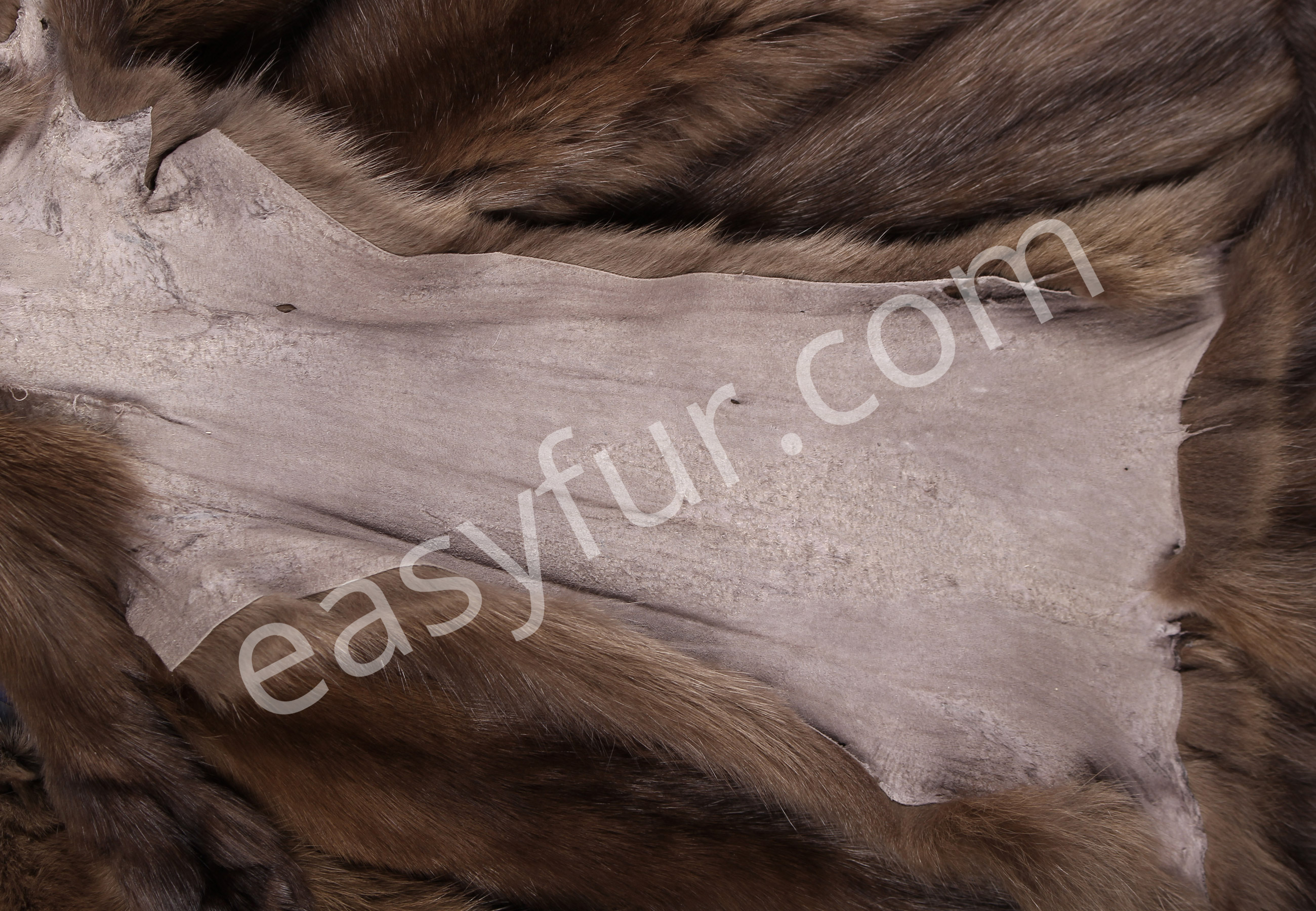 05-5492-Russian-Bargusin-Sable-Skins-easyfur
