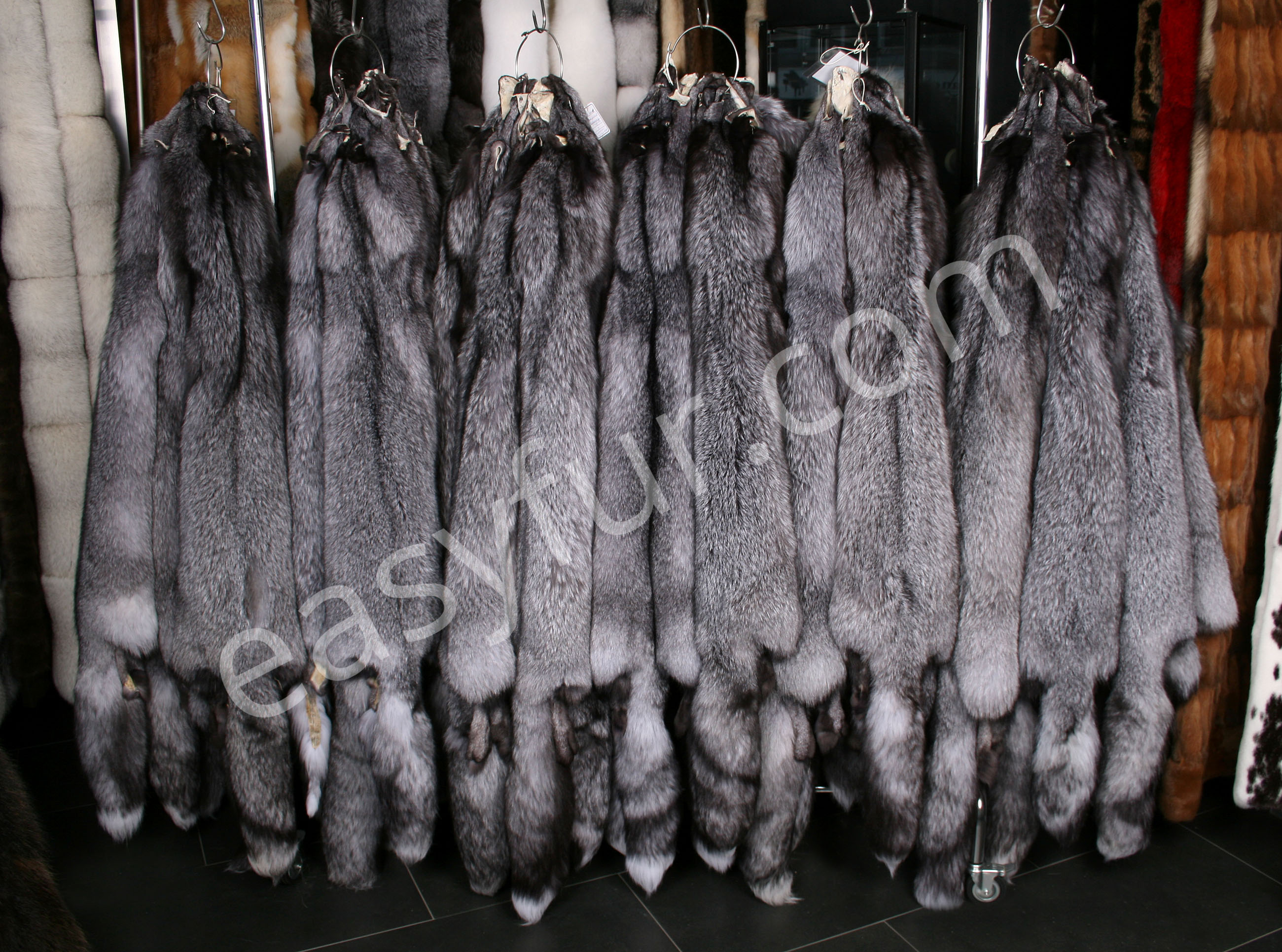 blue-frost-skins-bluefrost-7