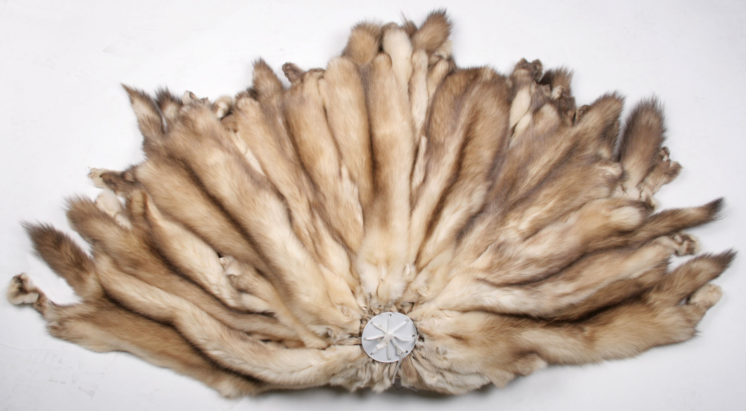 russian-gold-sable-skin-sojuzpushnina-7