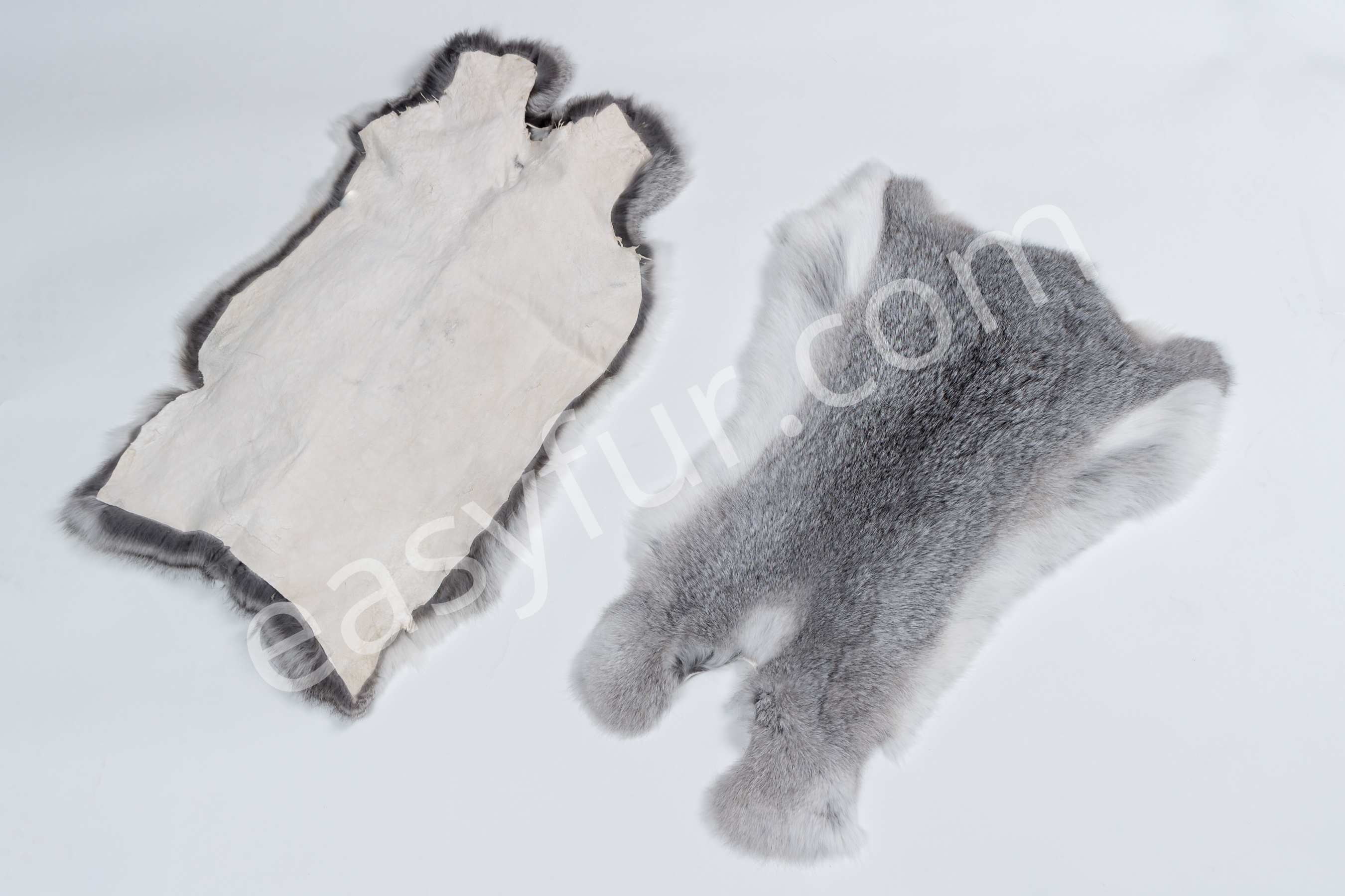 8-1978-Rabbit-Skins-Chinchilla-Style