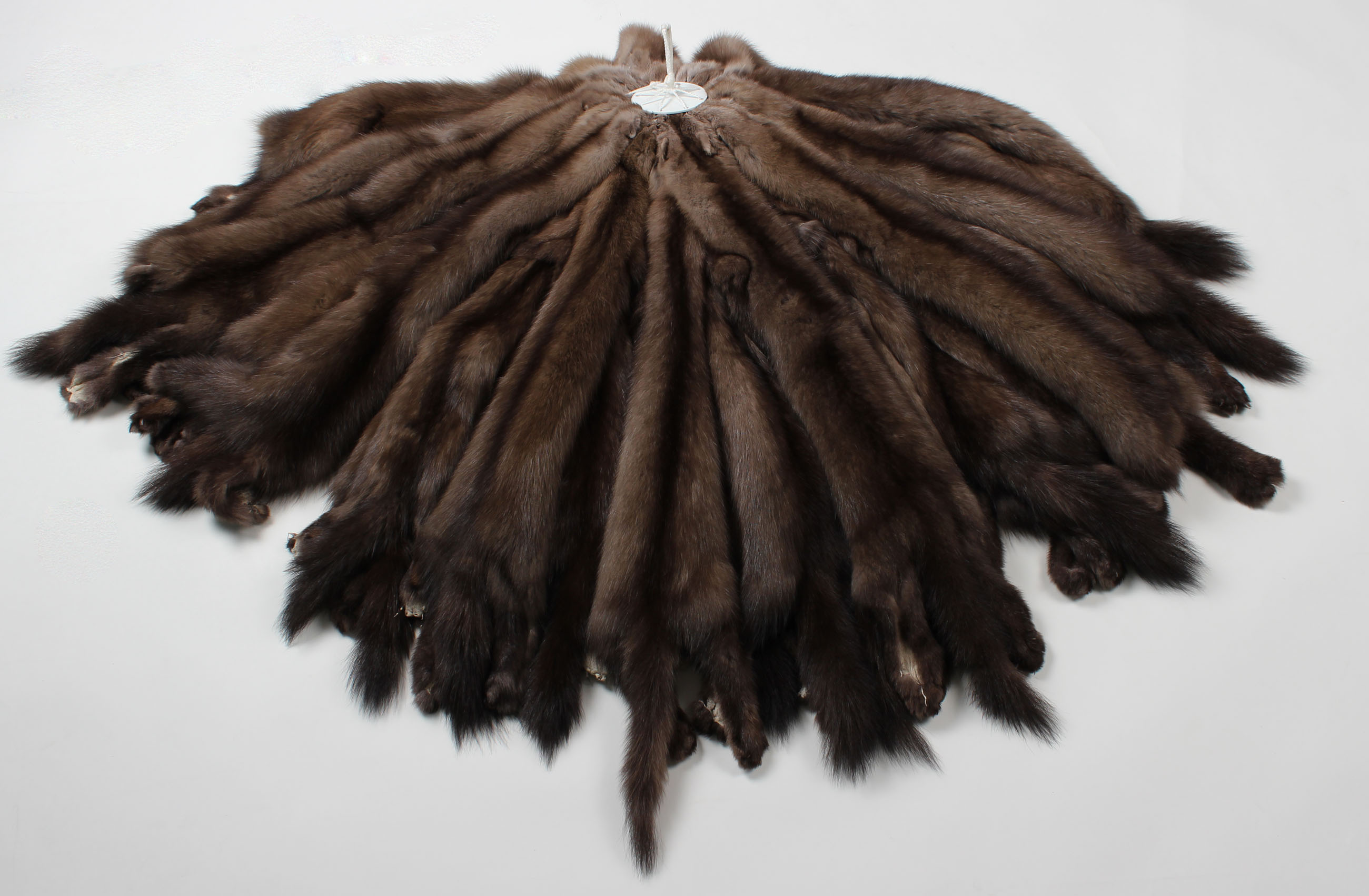 2-russian-Sable-skins-Coulor-Rinforzo-Fume-Tortora