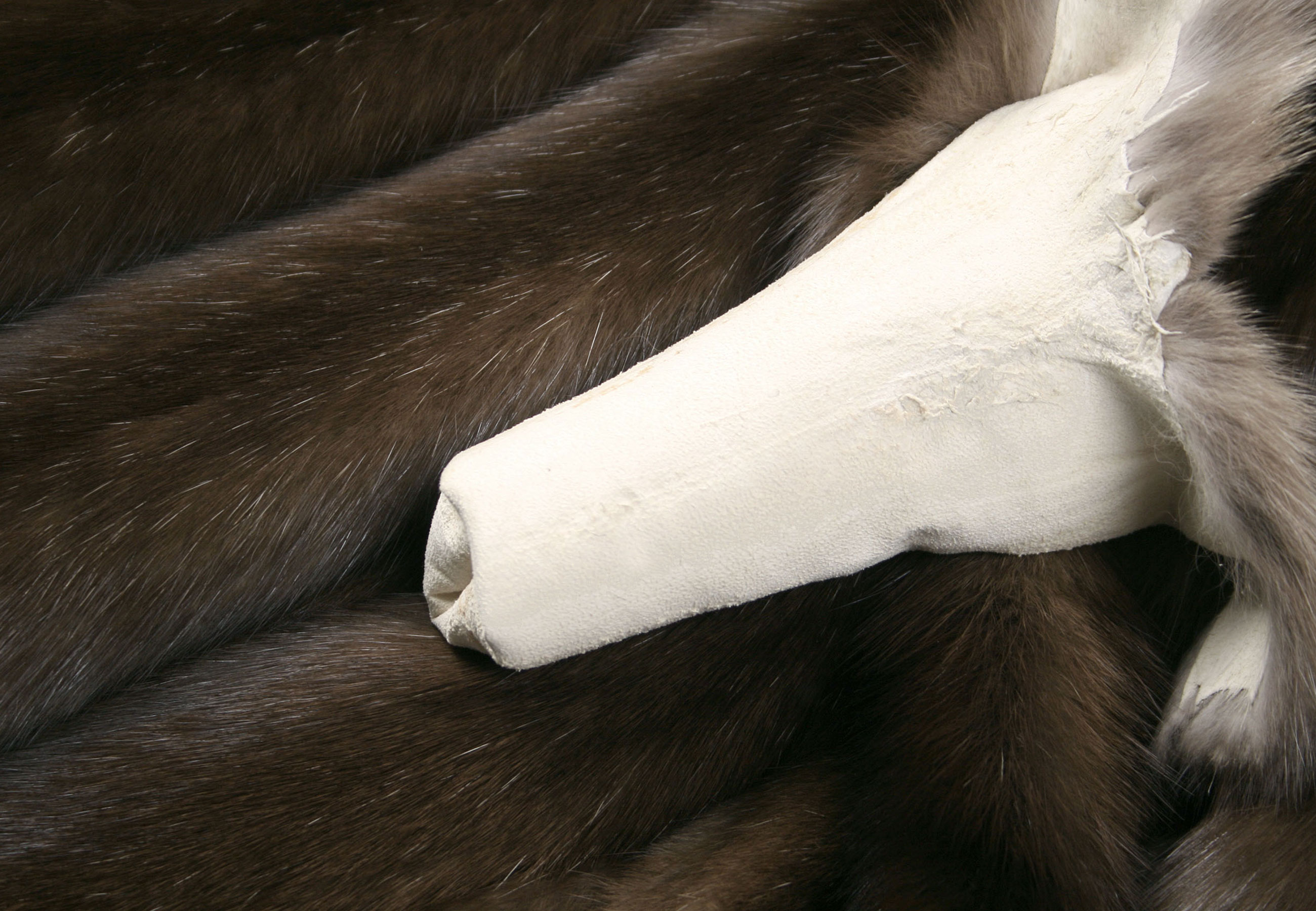 2-4969-Dark-sable-skins-Zobelfelle-Russland