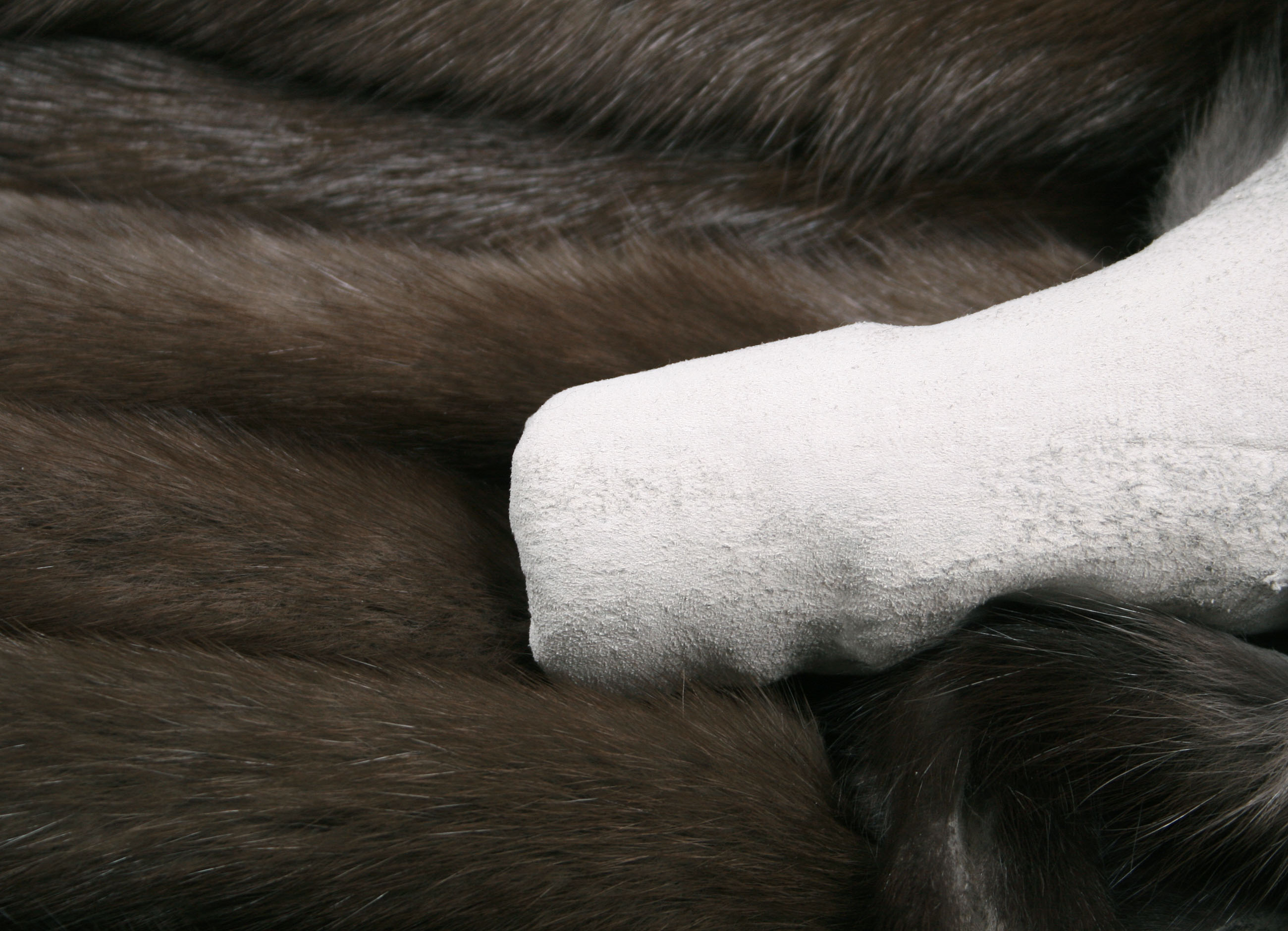 dark-russian-sable-skins-456d45fcf361f3