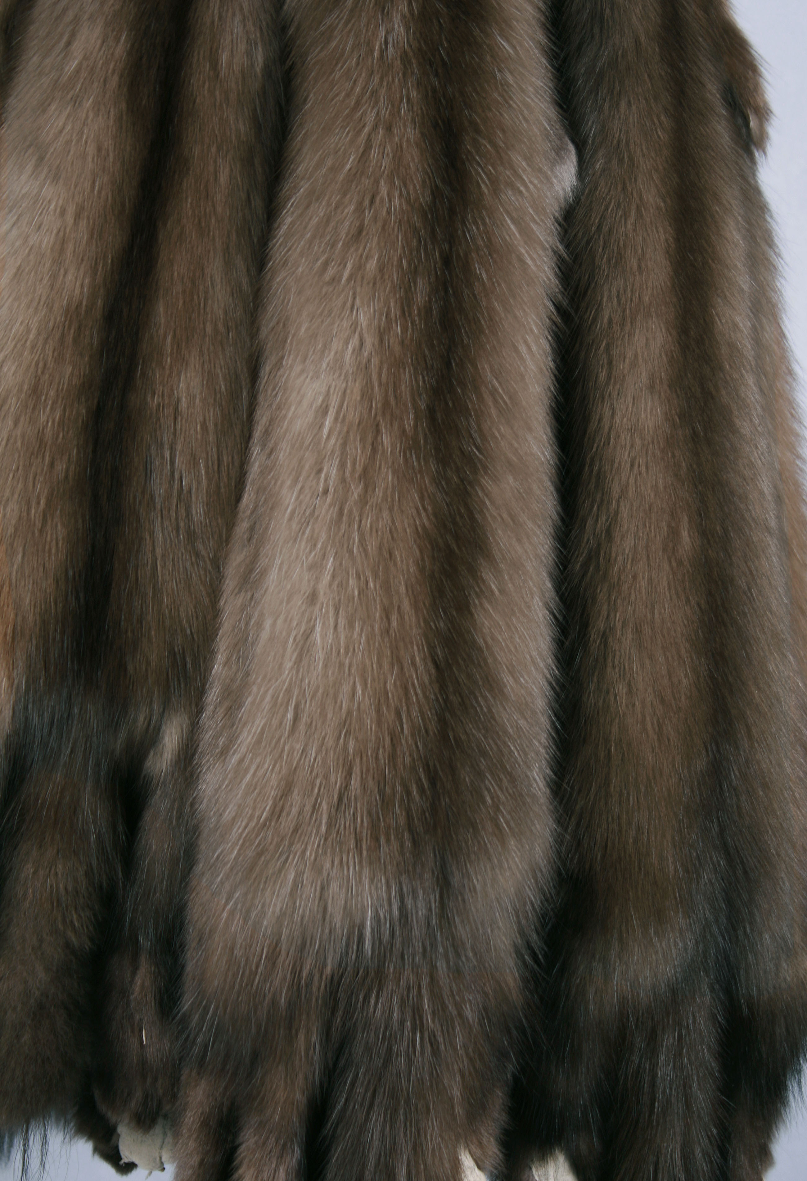 russian-sable-skins-bargusin-grey-6