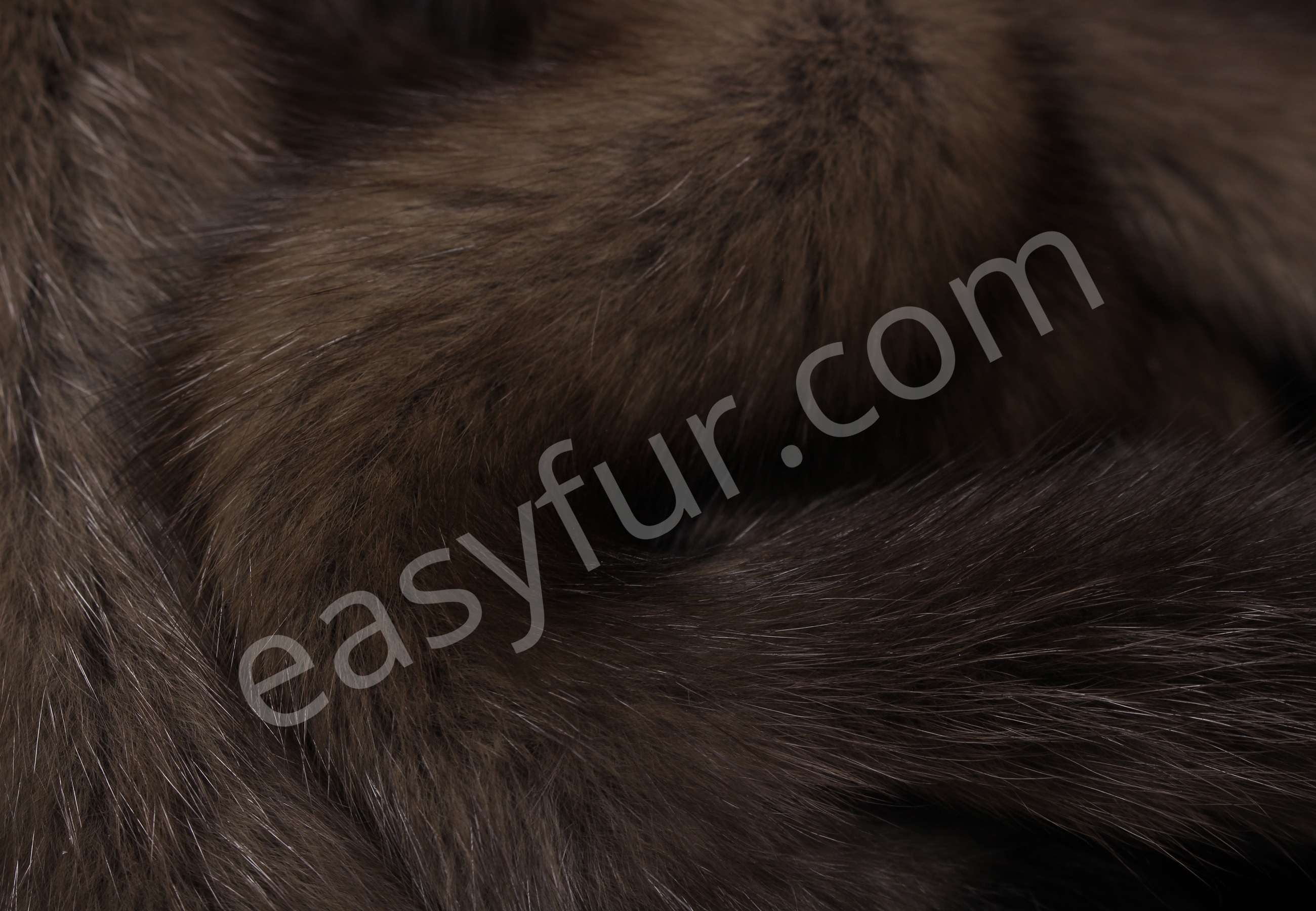 04-5495-Russian-Sable-Pelts-Titanio