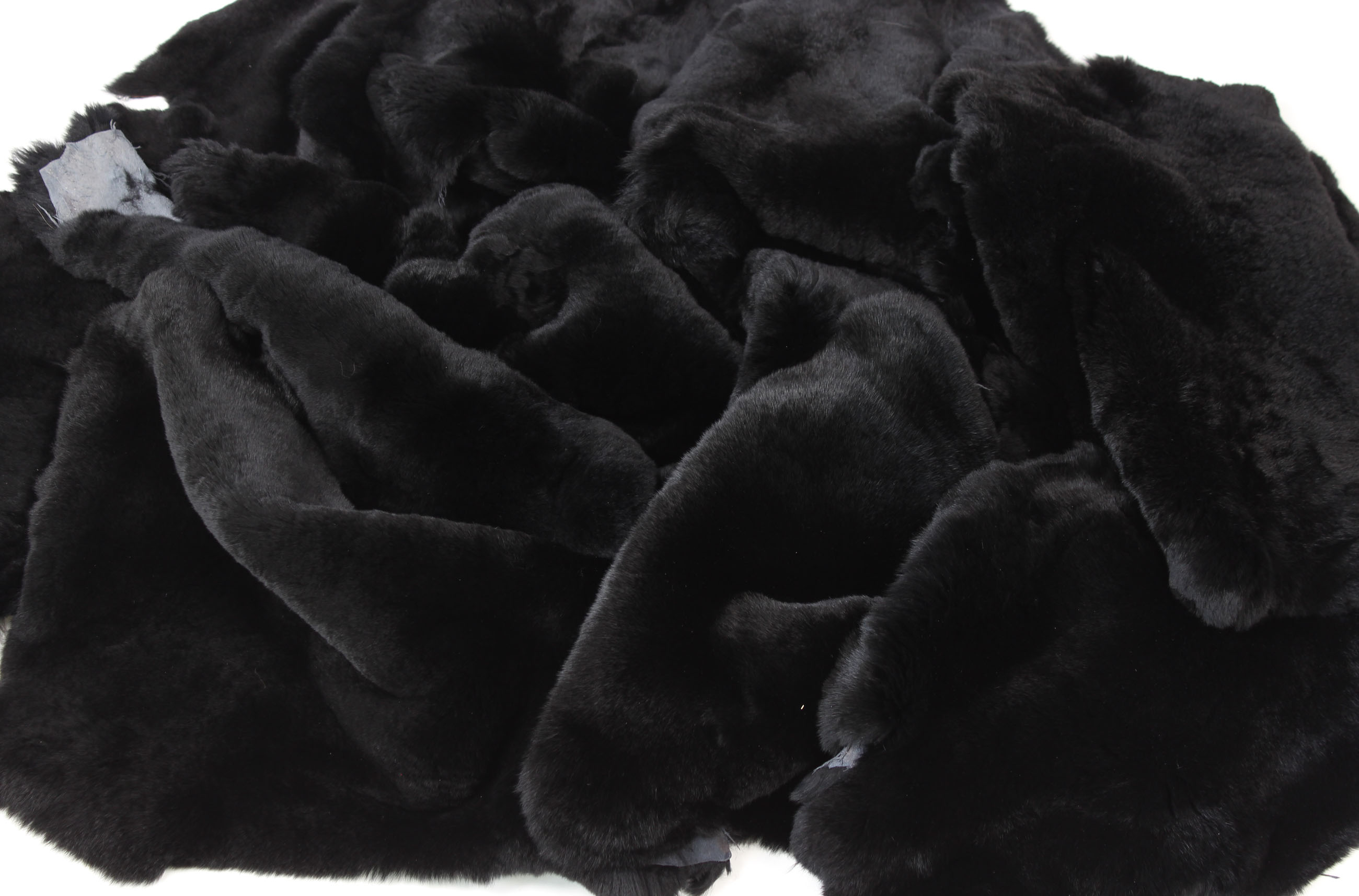 2-Rex-Rabbit-skins-black