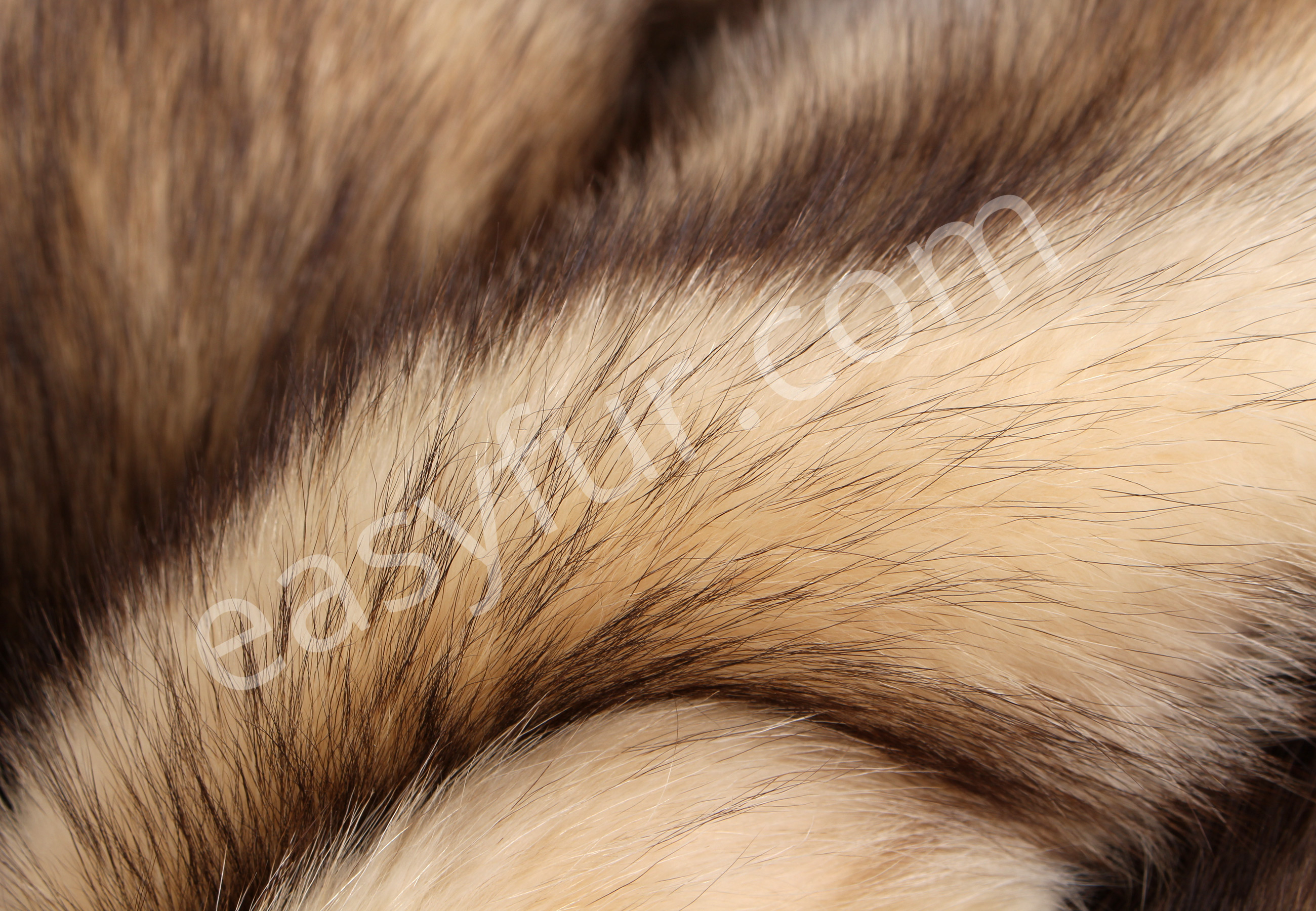 04-5810-Canadian-Raccoon-Pelts-easyfur