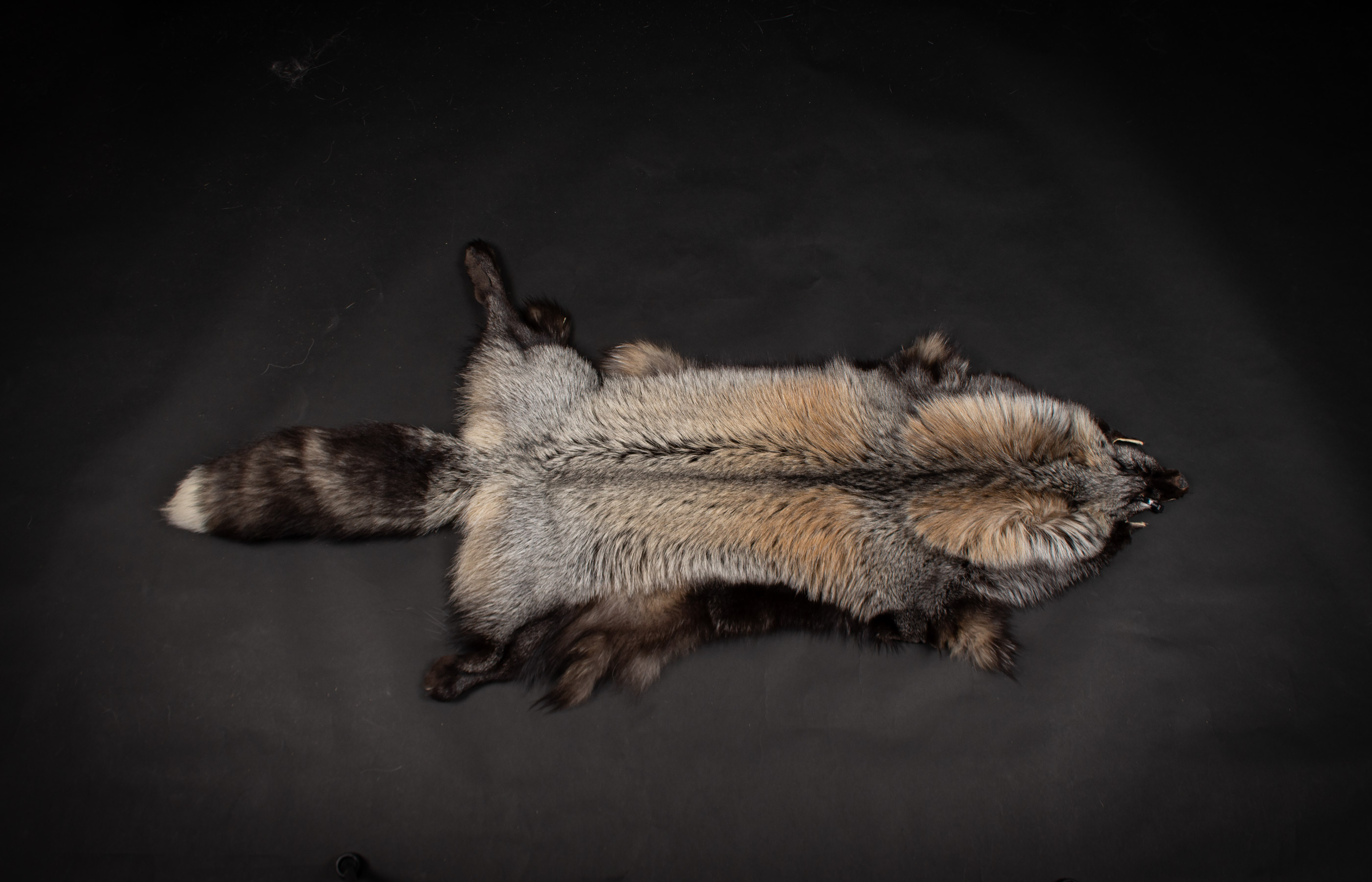 Farmed Gold Cross Fox Skin Farmed Gold Cross Fox Skin