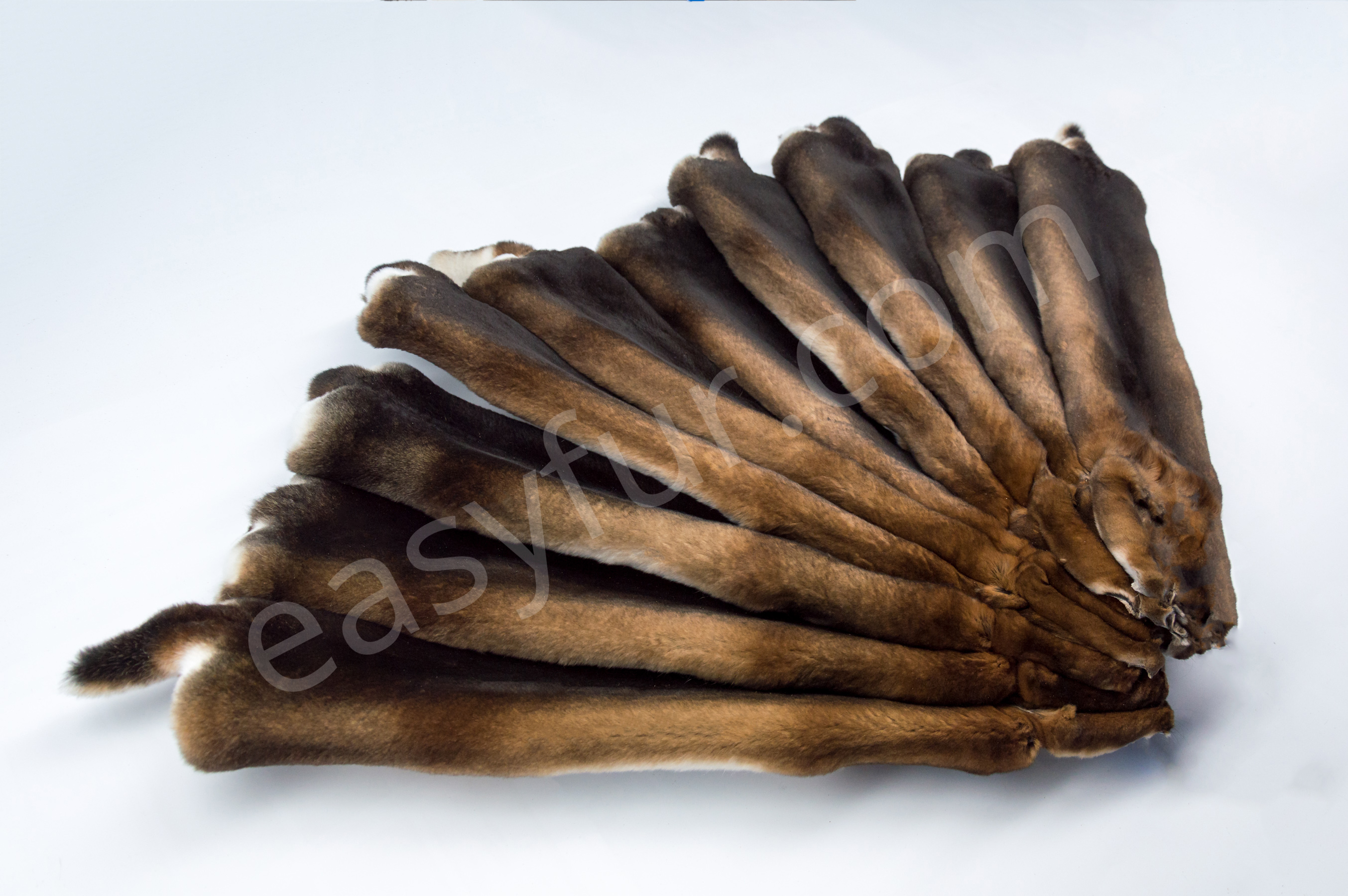 Castor Rabbit Brown Rabbit skins - sheared and long-haired rabbits in various colors