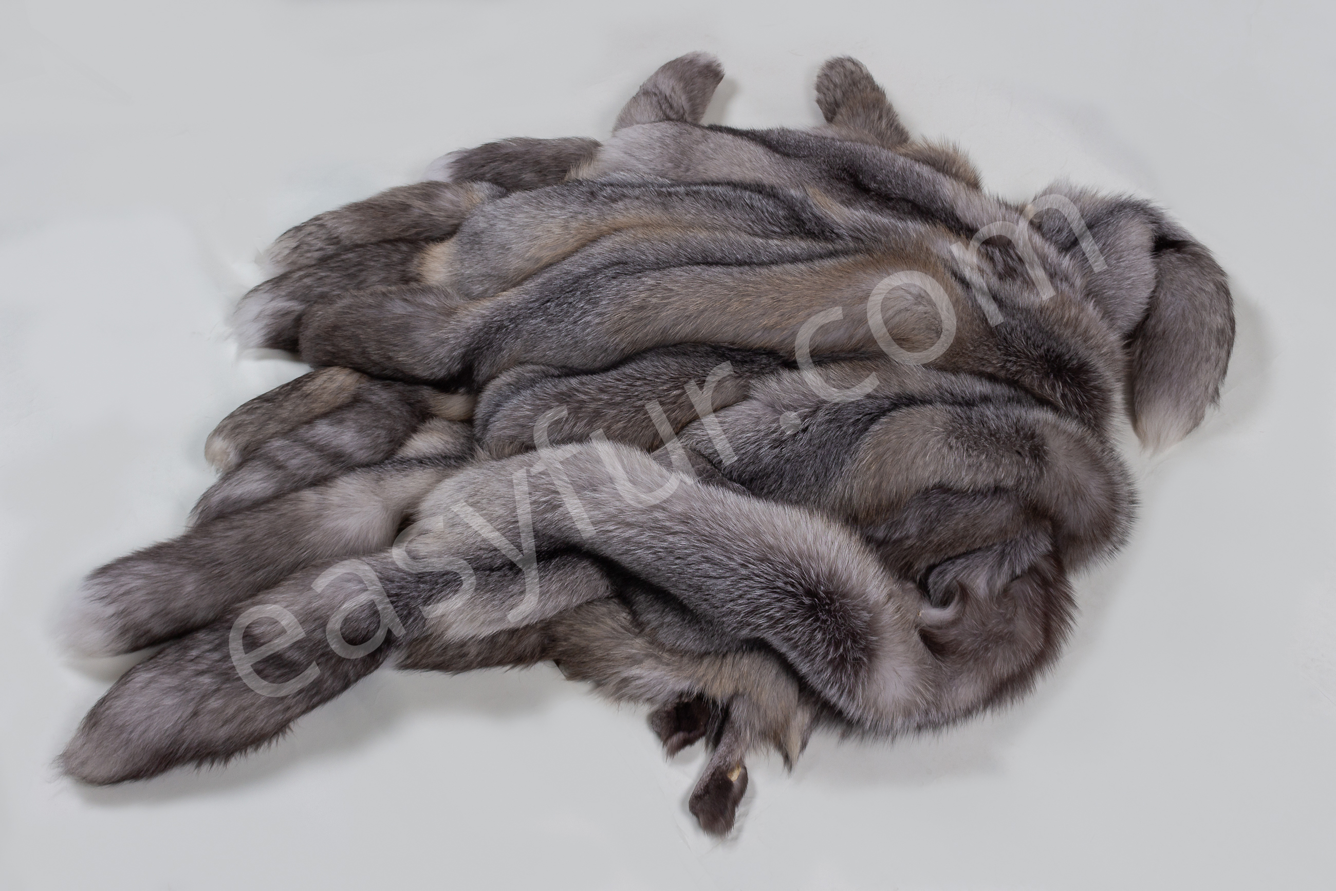 3-5670-Blue-Frost-Fuechse-Blue-Frost-Fox-Brown-Type