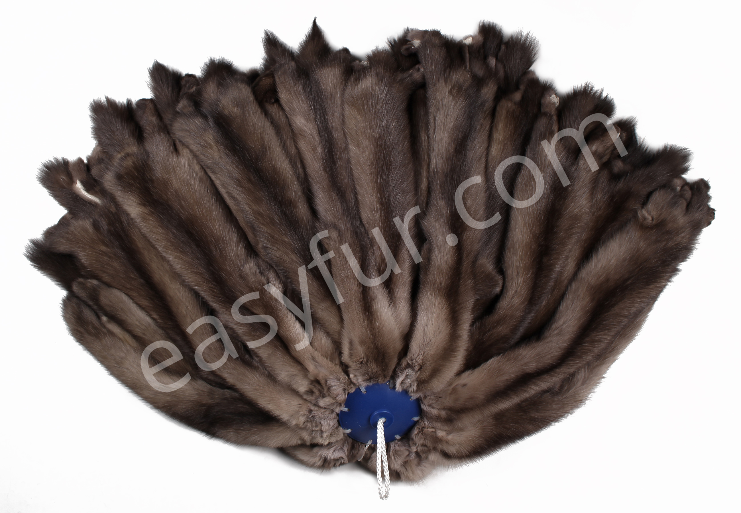 01-5489-Russian-Bargusin-Sable-Skins-Tortora