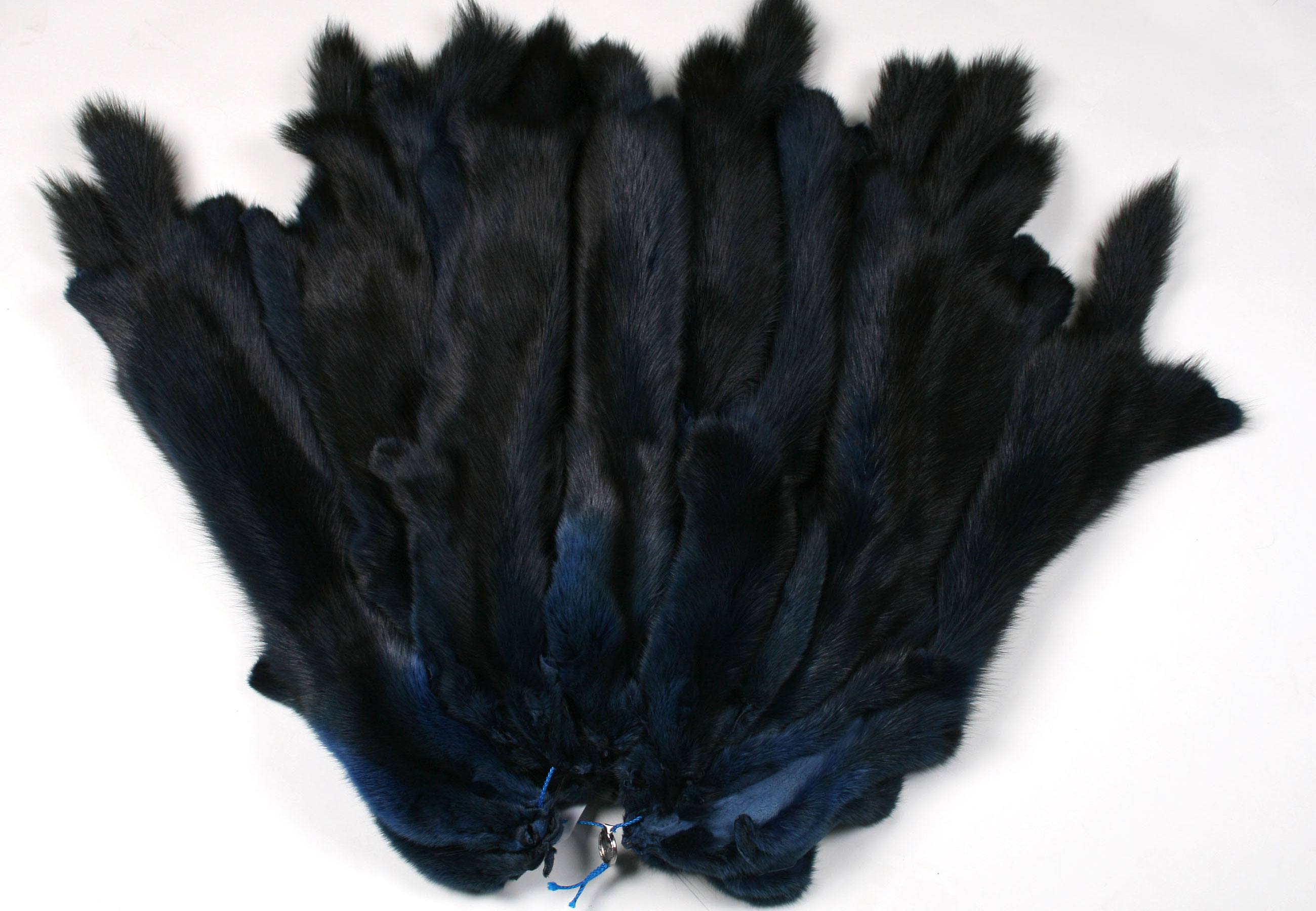 Russian Sable skins in blue from St. Petersburg