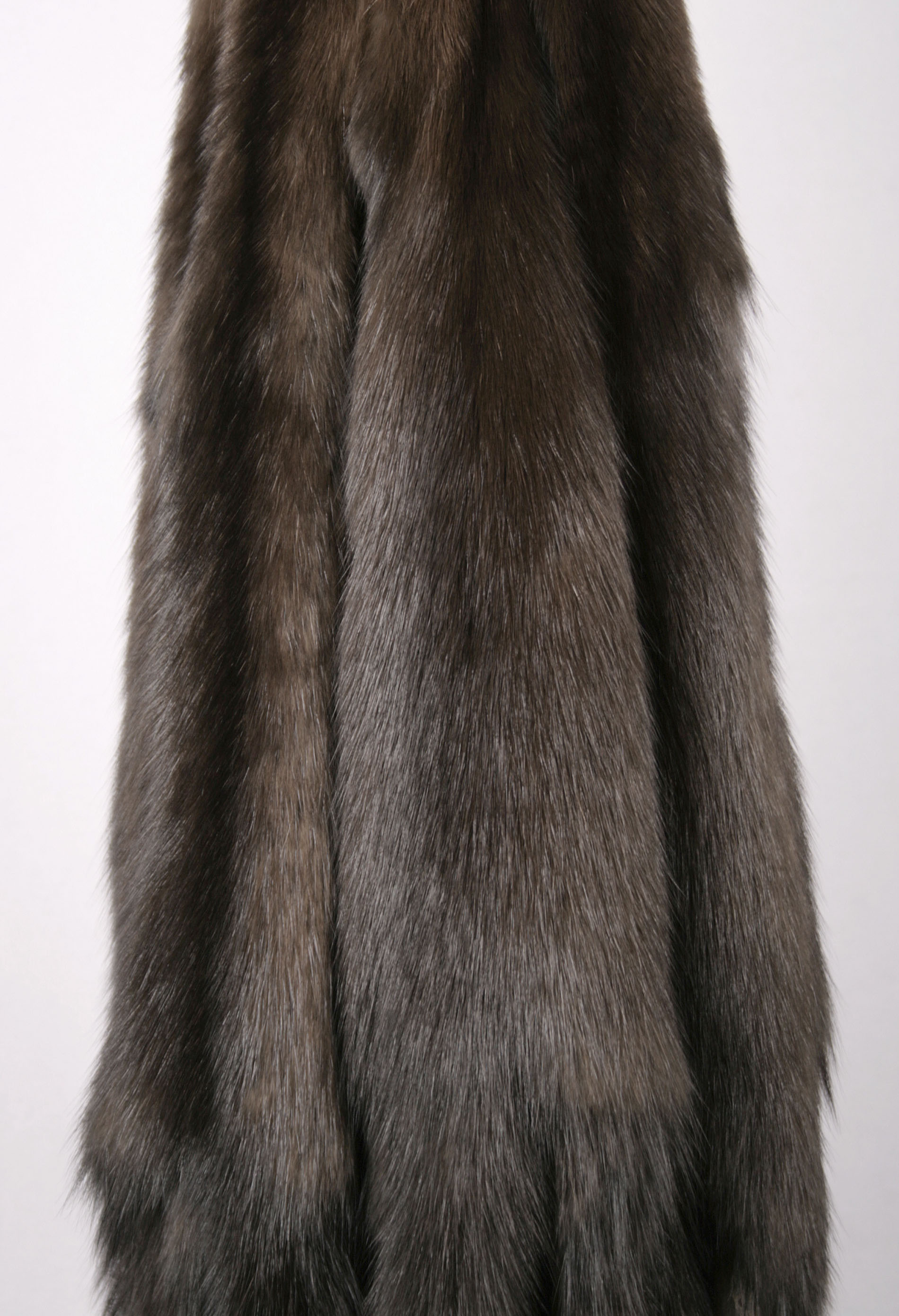 russian-sable-dark-skins-6