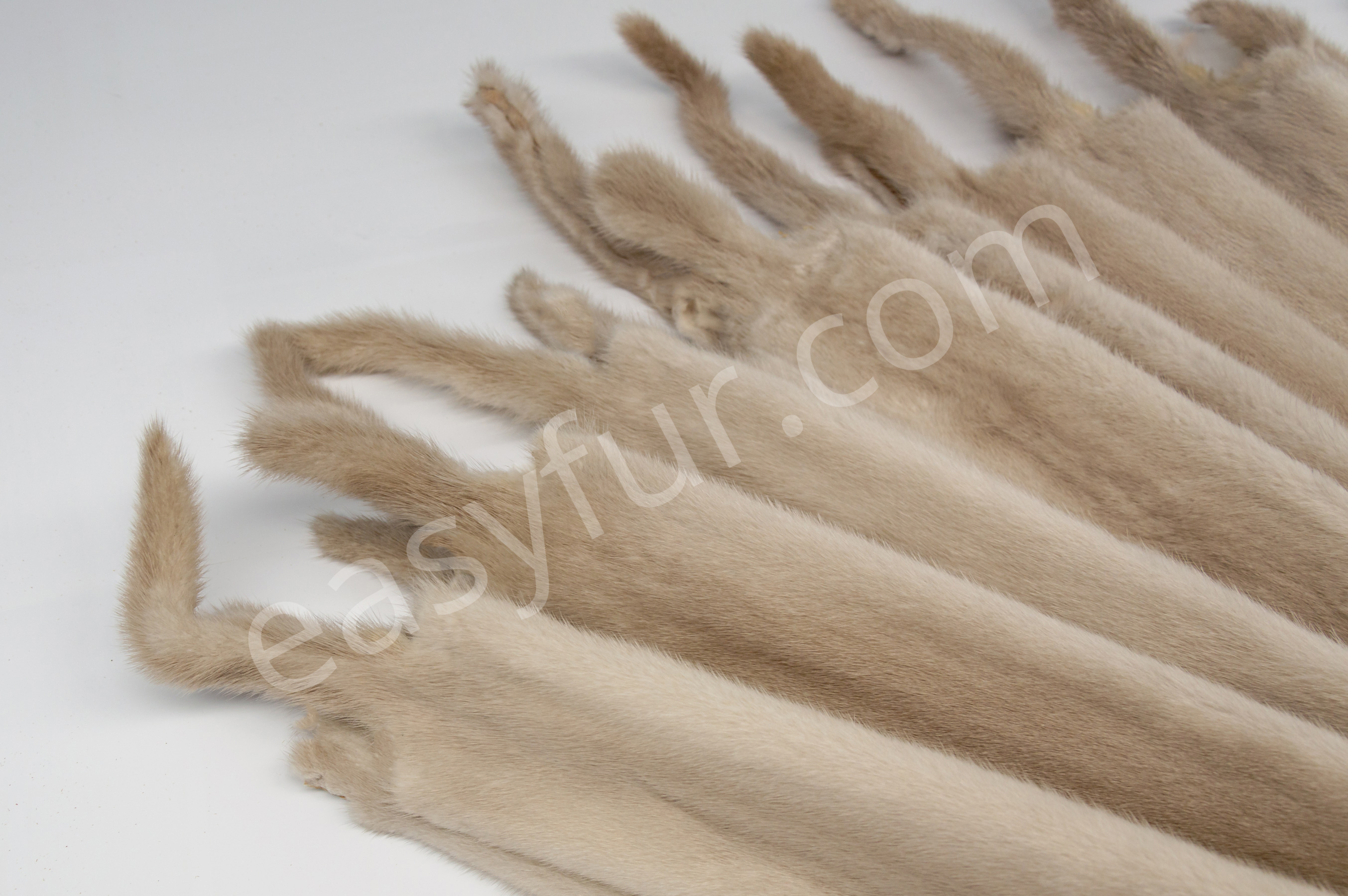 5-1597-Pearl-Beige-Mink-Pelts-Nerze