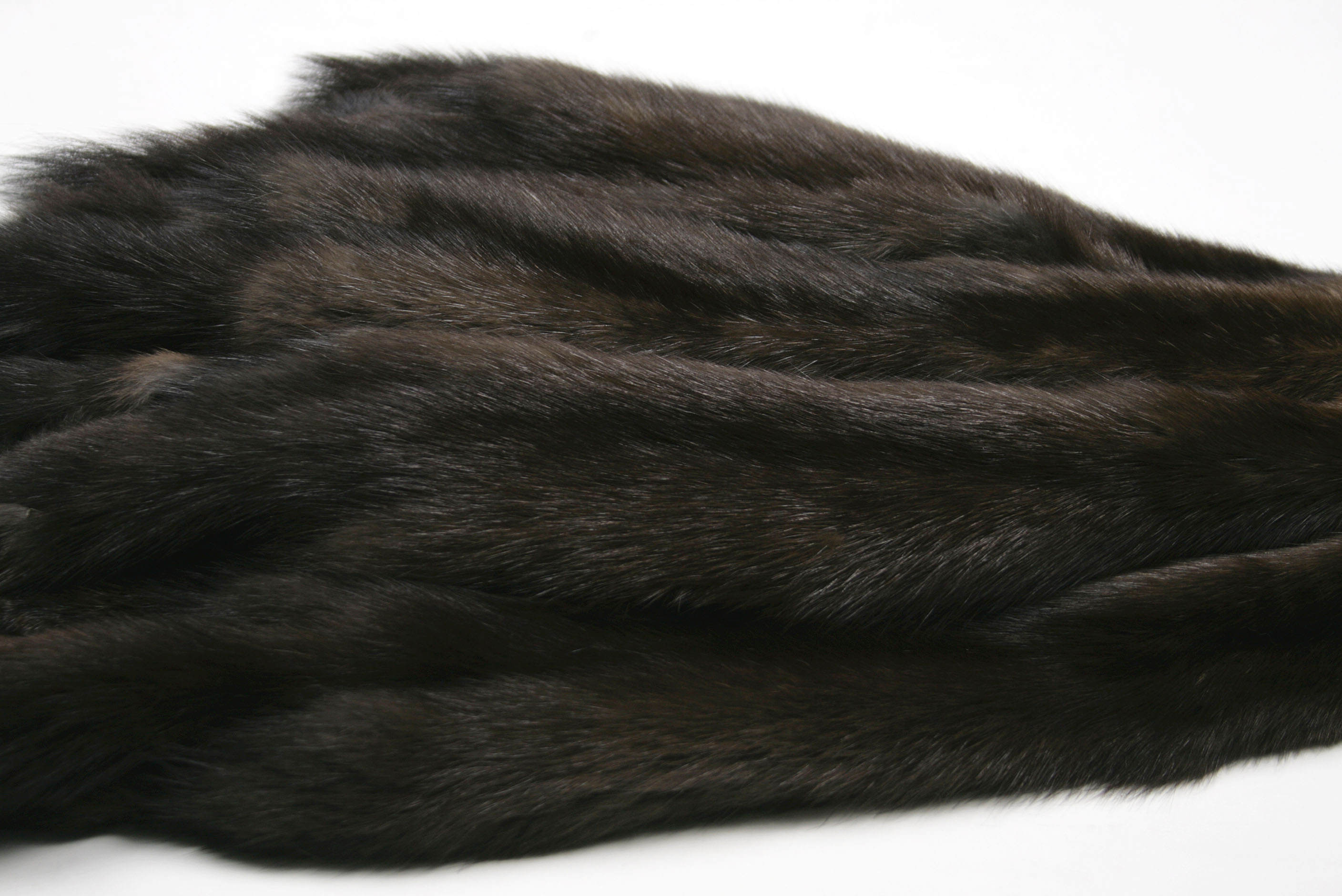 russian-sable-dark-skins-3