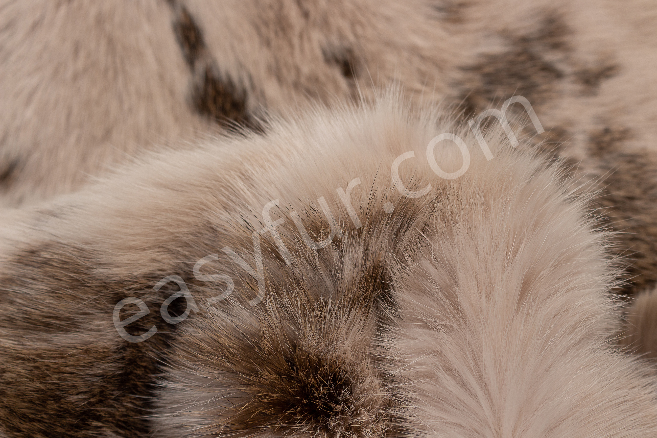 7-2947-Kanin-Felle-Beige-Rabbit-Fur-Skins-beige-Easyfur