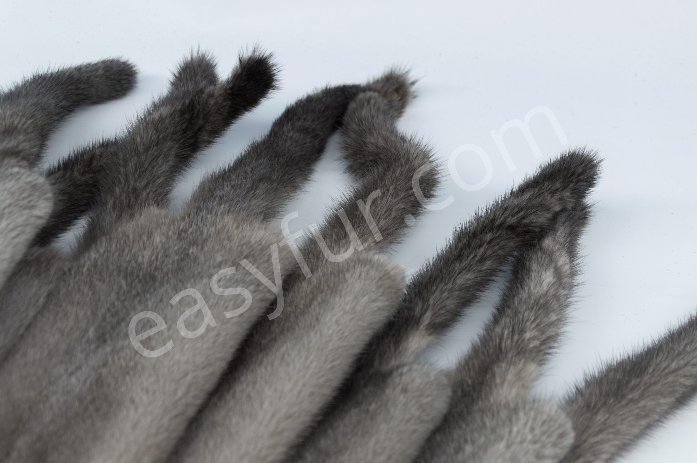 5-1613-Silverblue-Velvet-Minks-Nerze