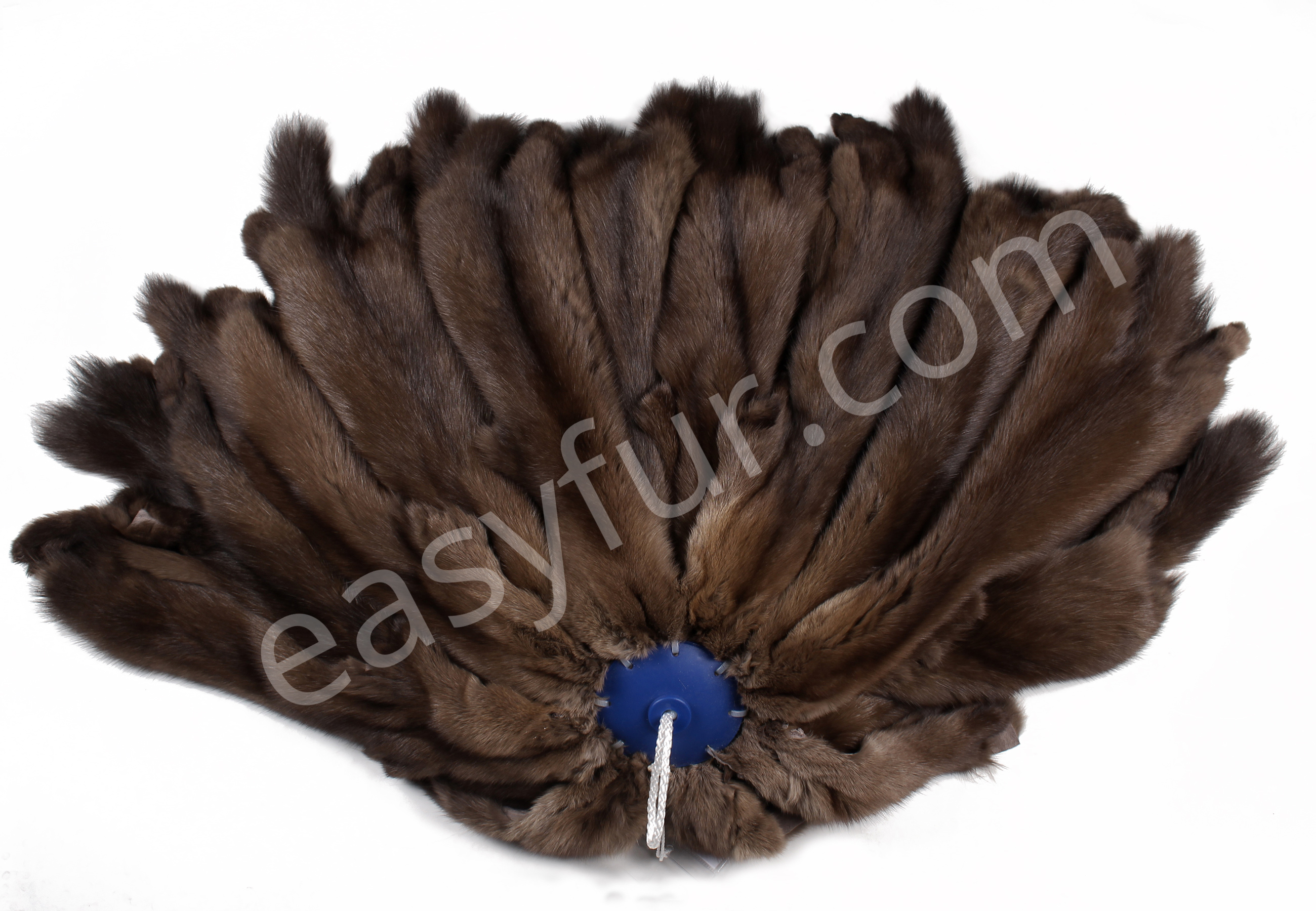 01-5492-Russian-Bargusin-Sable-Skins-easyfur