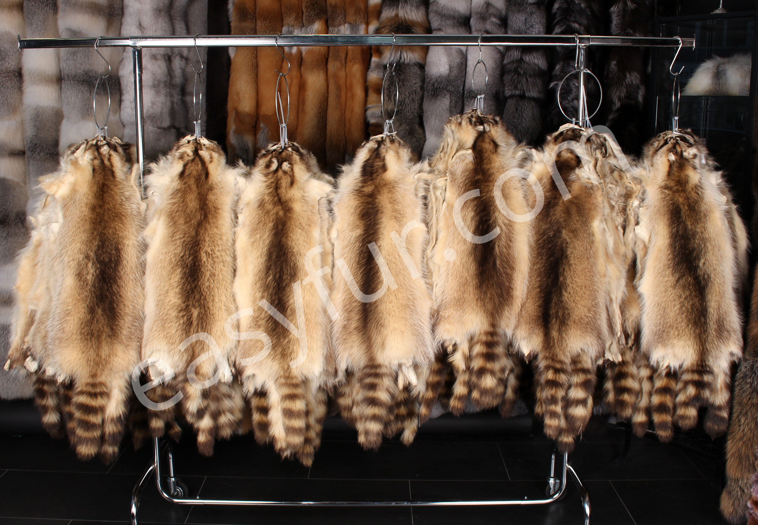 03-5810-Canadian-Raccoon-Pelts-easyfur