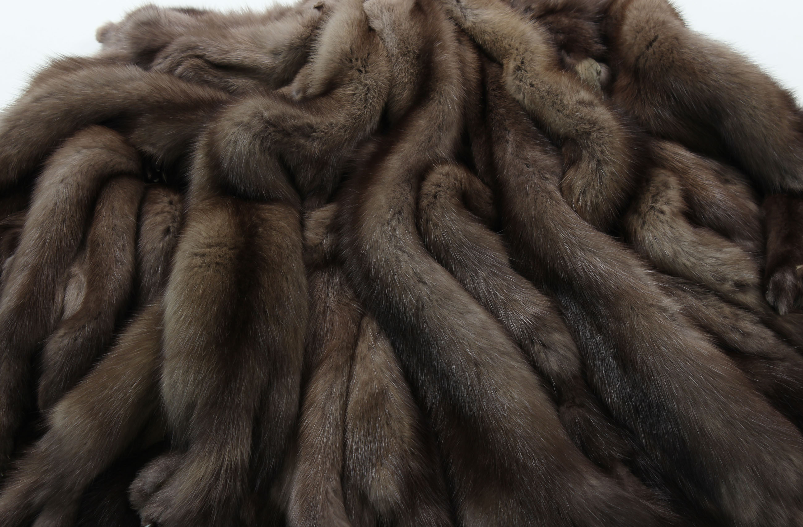 4-Sable-skin-russian-sable-Tortora