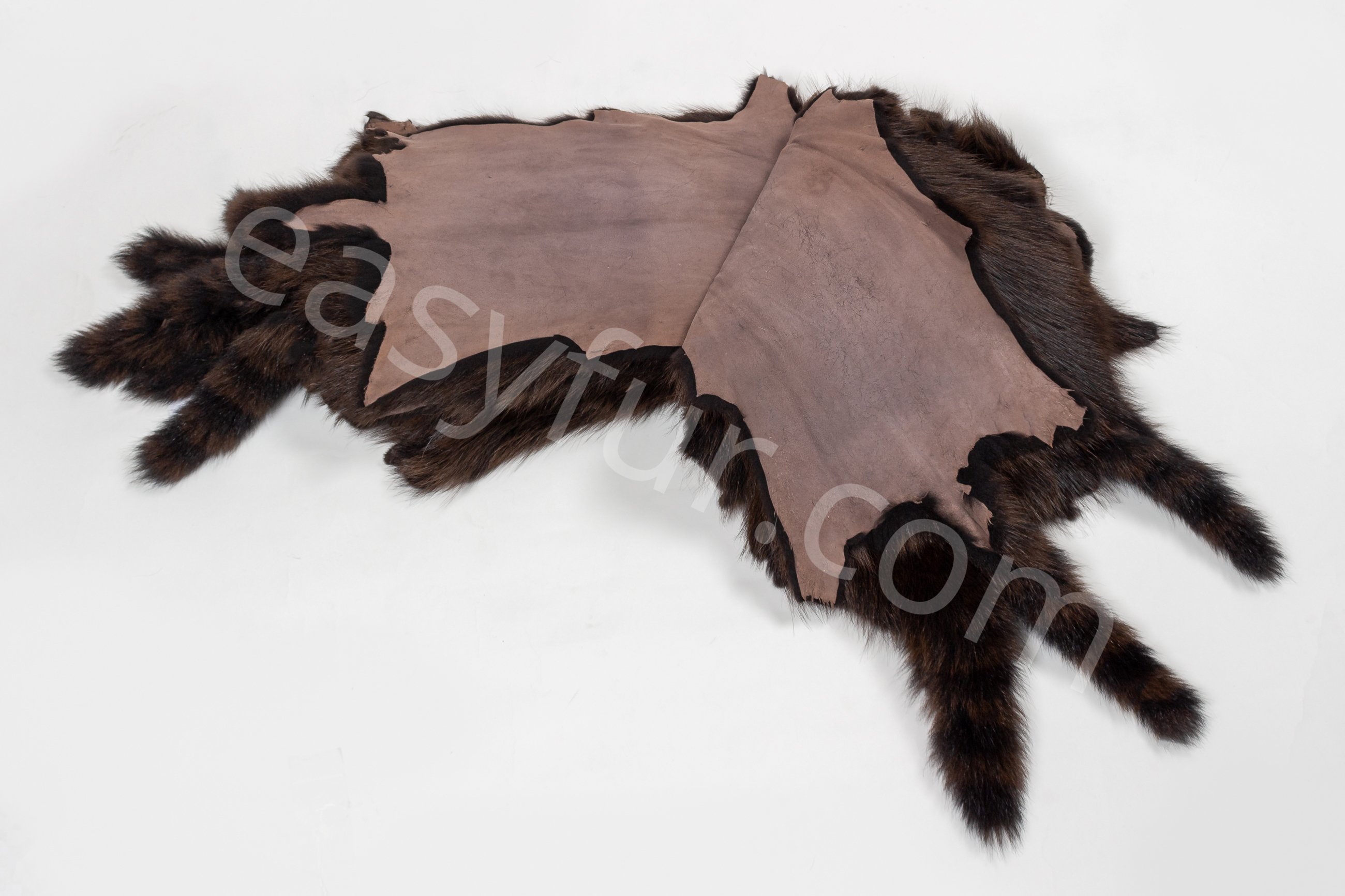 5-1858-Waschaer-Felle-Raccoon-Fur-Skins-Easyfur
