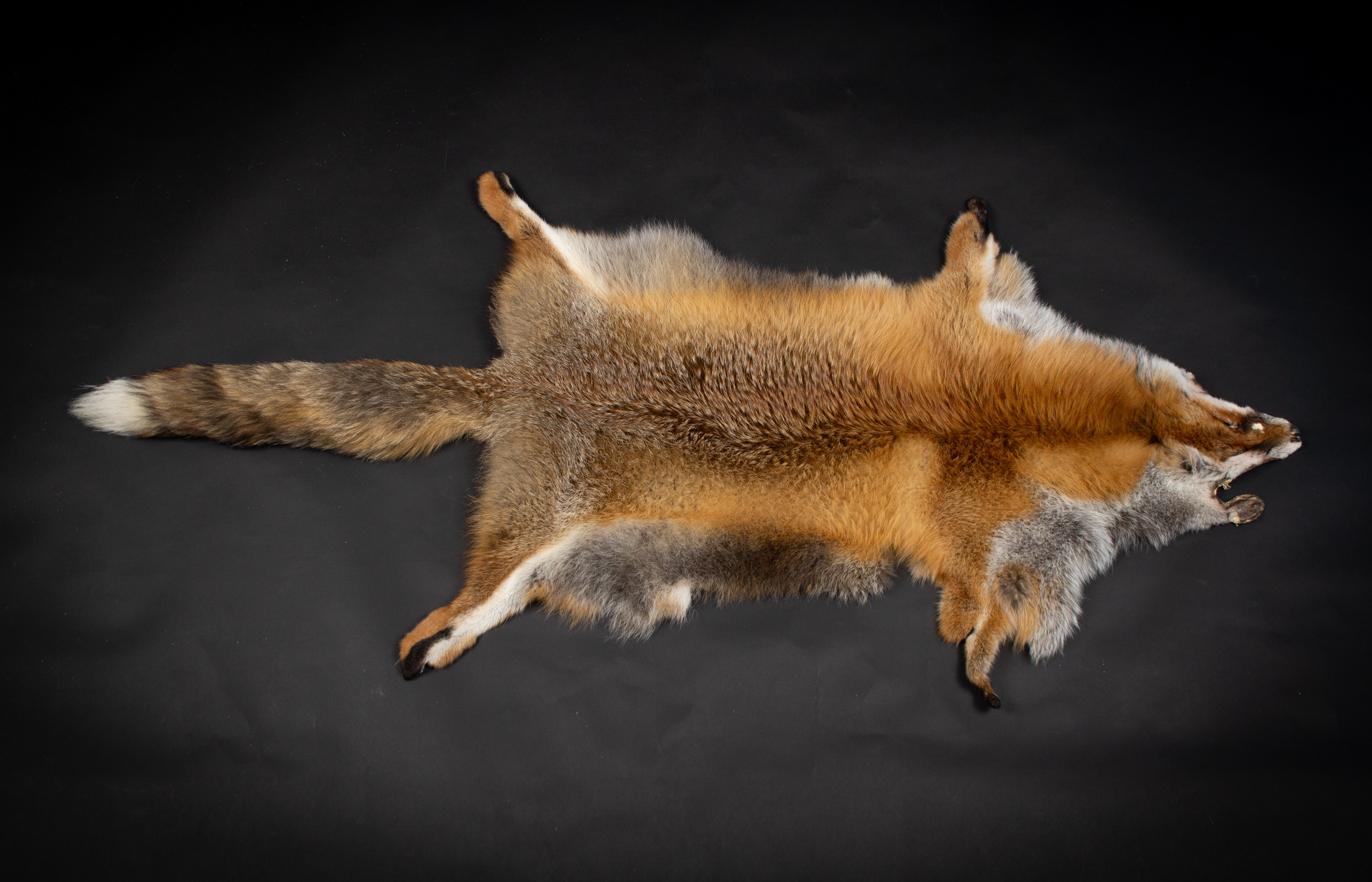 Europaen Red Fox Skins - natural