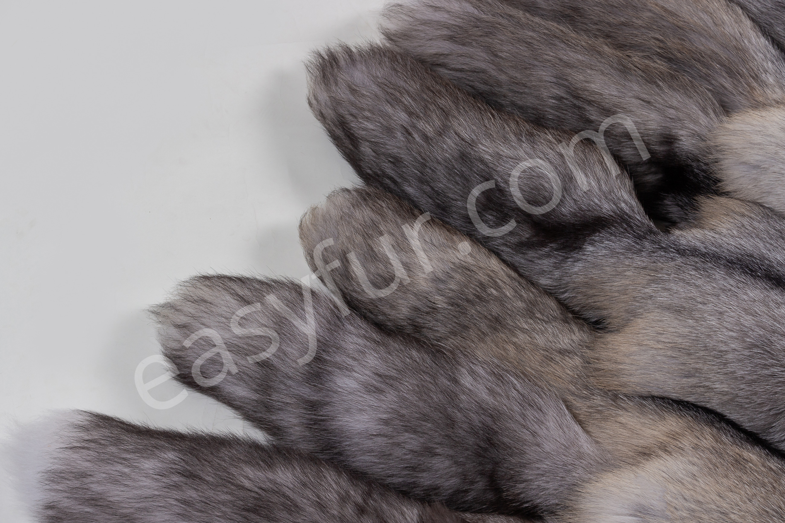 5-5670-Blue-Frost-Fuechse-Blue-Frost-Fox-Brown-Type