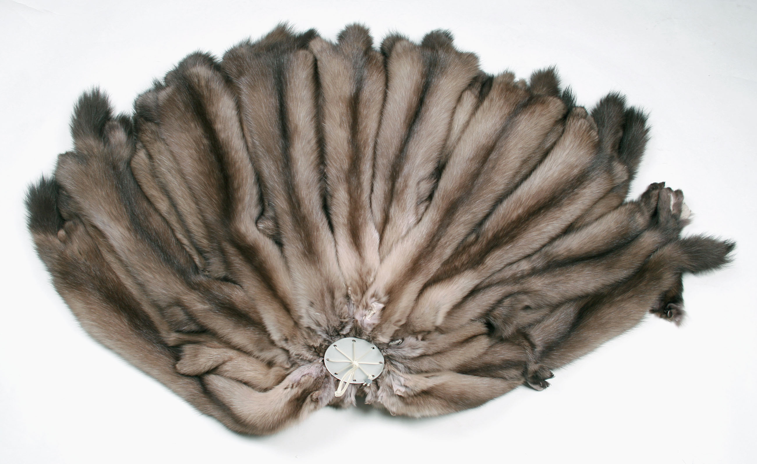 bright-barguzin-sable-skins-russia-2