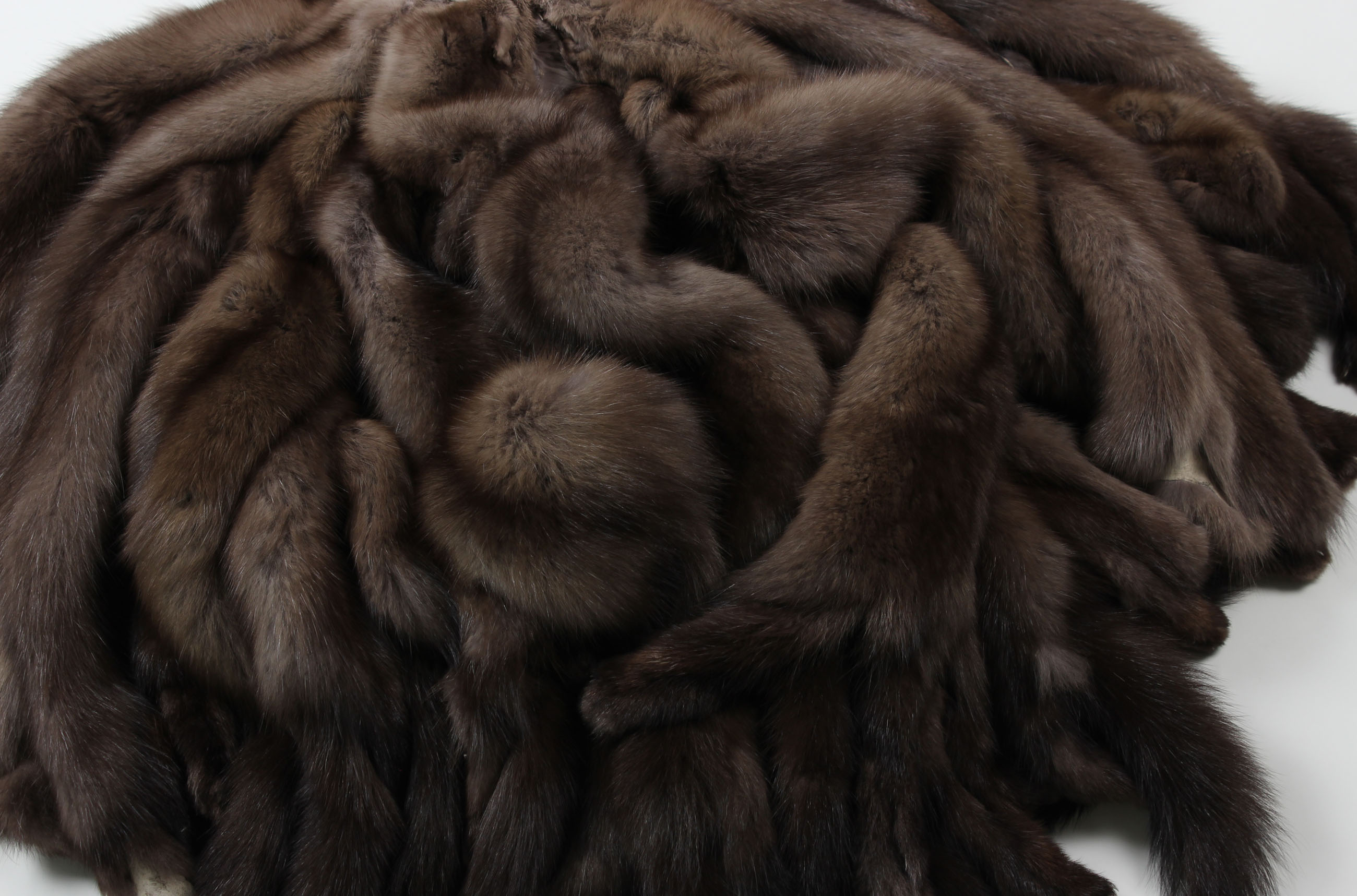 5-russian-Sable-skins-Coulor-Rinforzo-Fume-Tortora