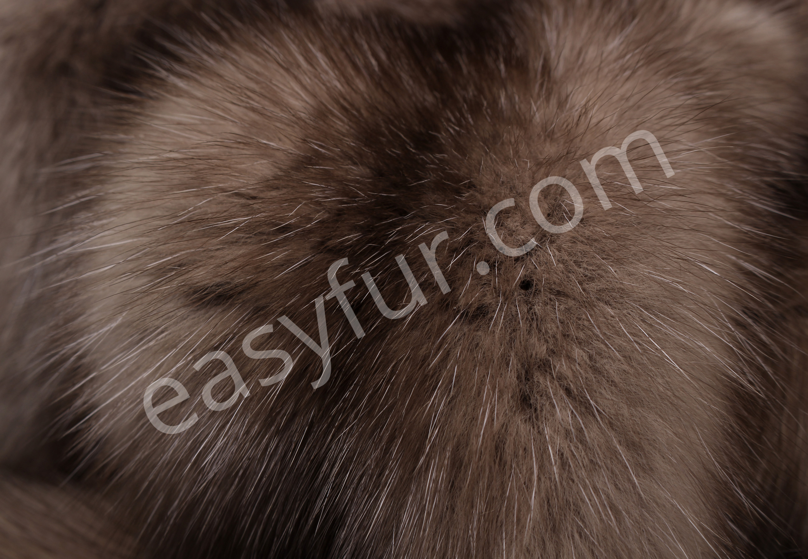 03-5489-Russian-Sable-Pelts-Tortora-easyfur