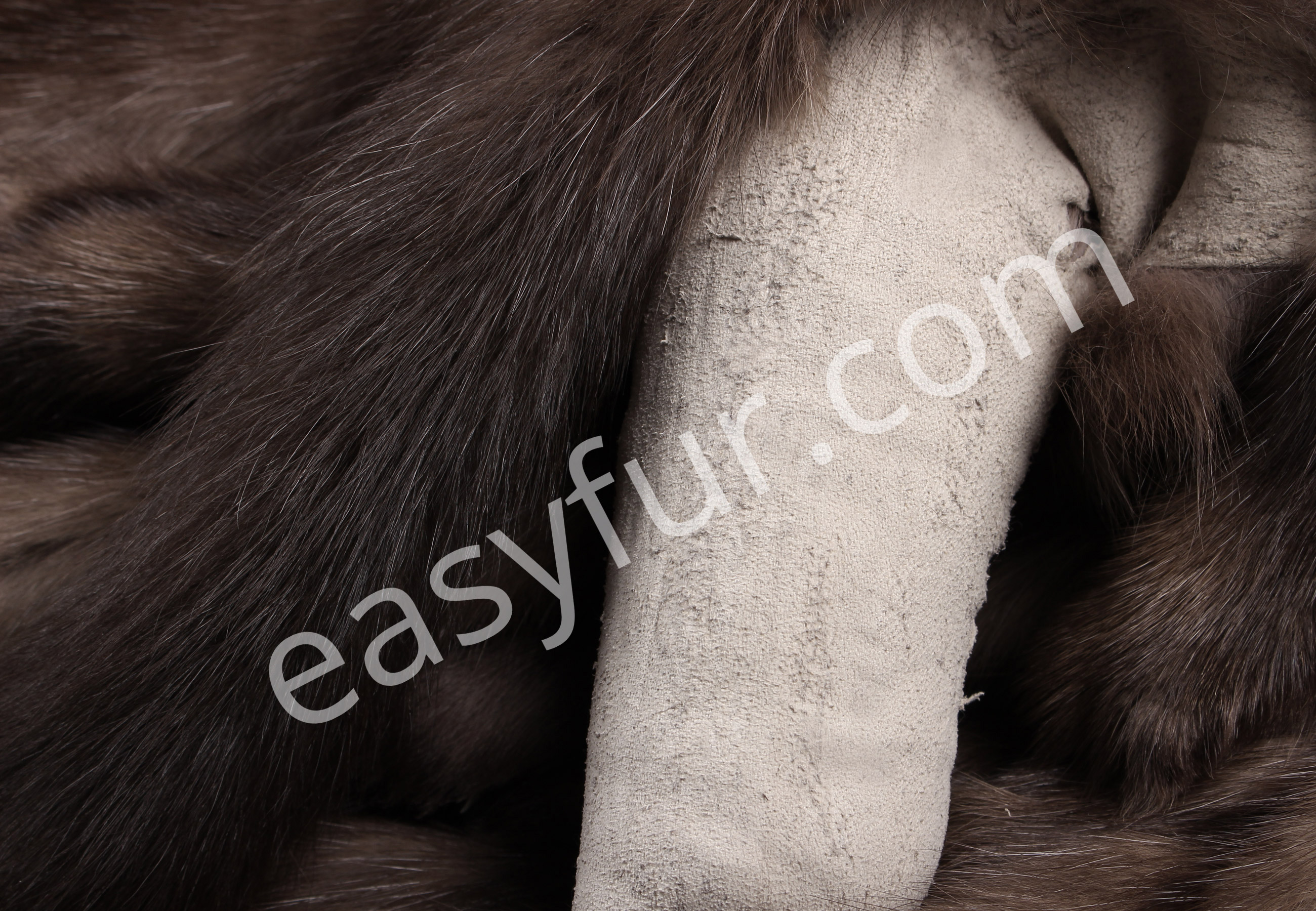 06-5489-Russian-Bargusin-Sable-Skins-Tortora