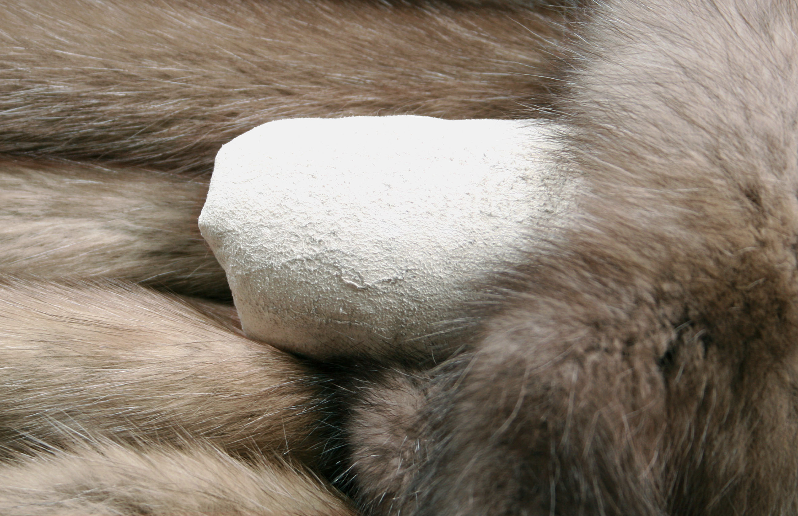 bright-barguzin-sable-skins-russia-3