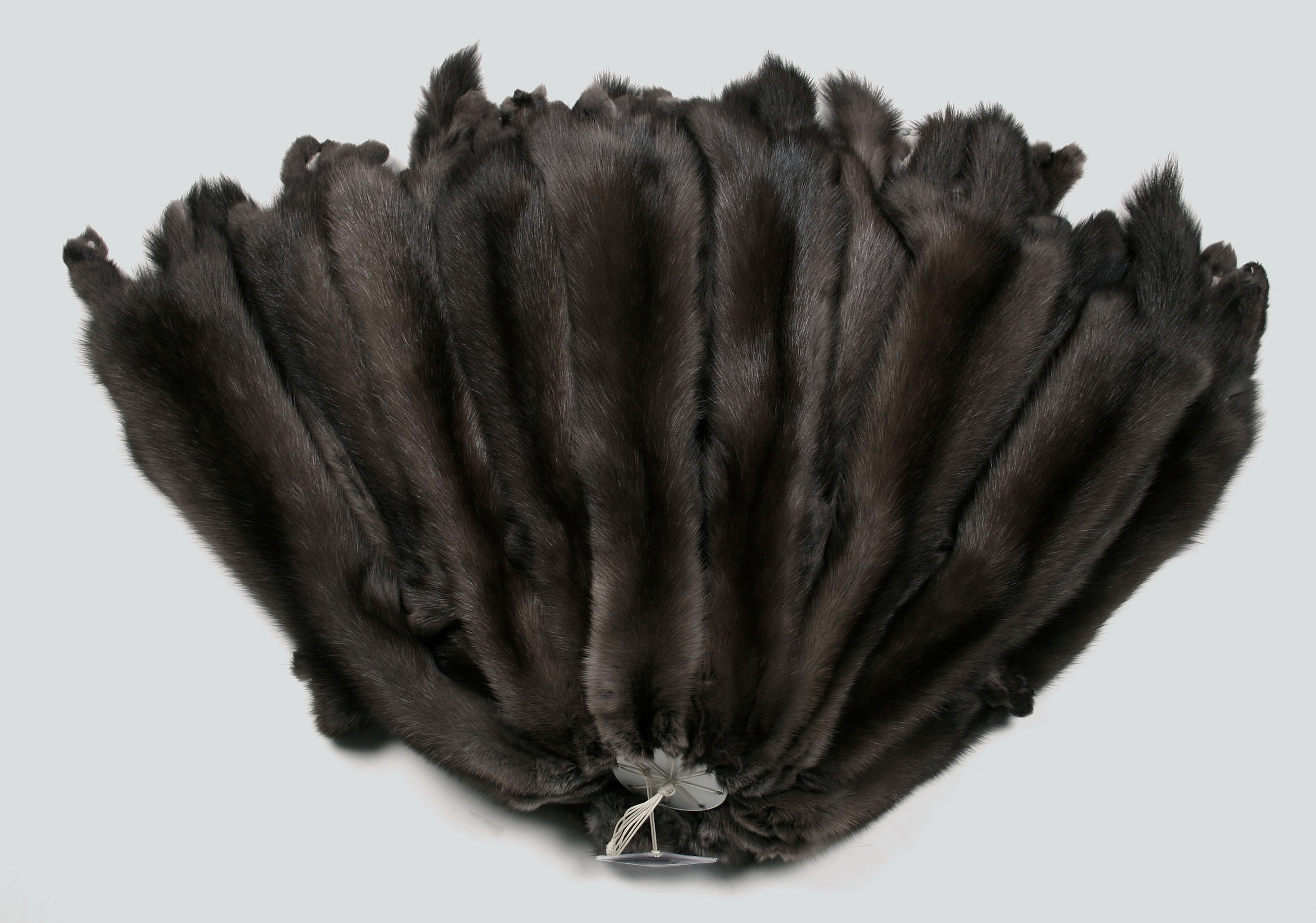 dark-russian-bargusin-sable-skins-1