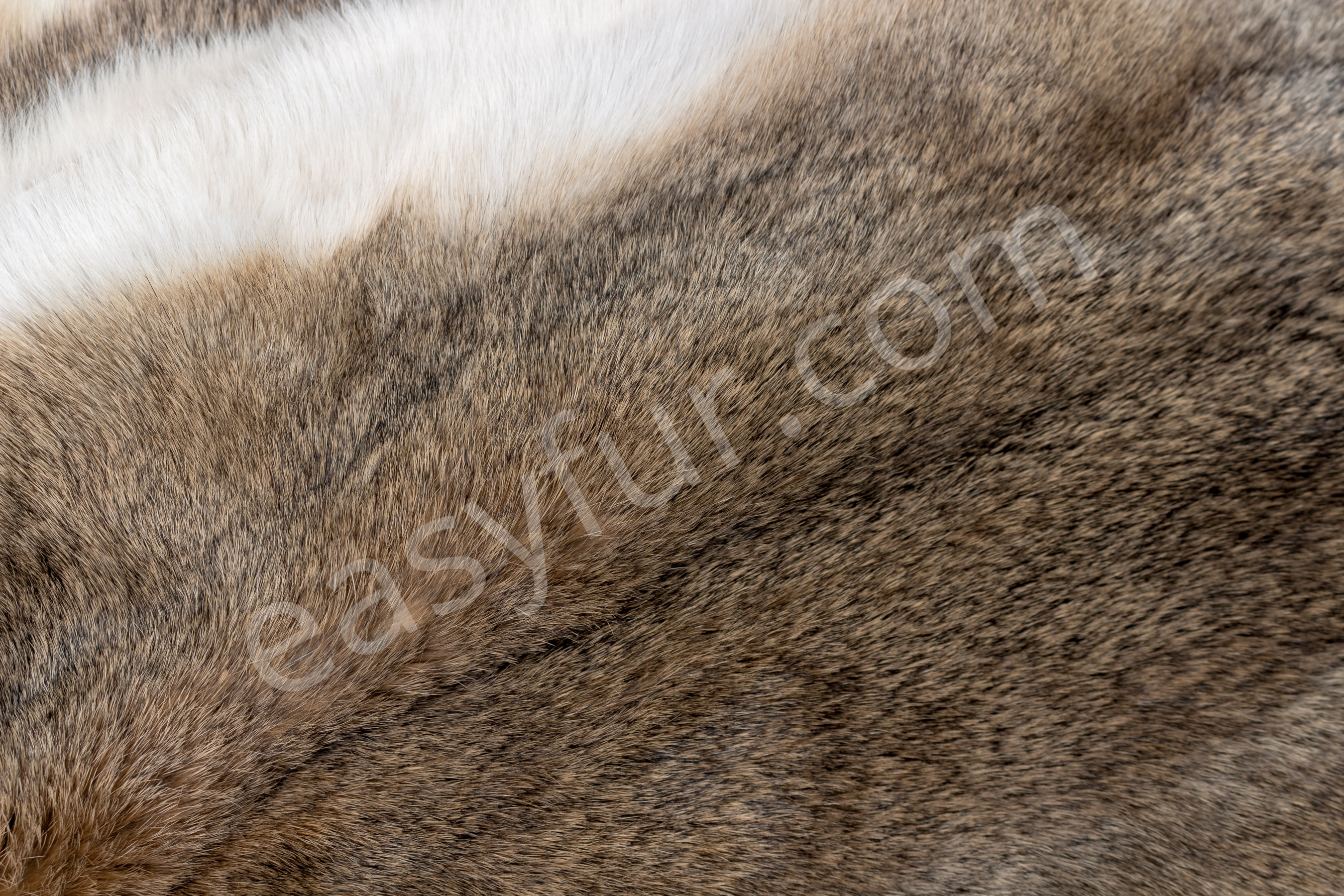 8-1974-Natural-Rabbit-skins-Kaninchenfelle-hasenfarbig