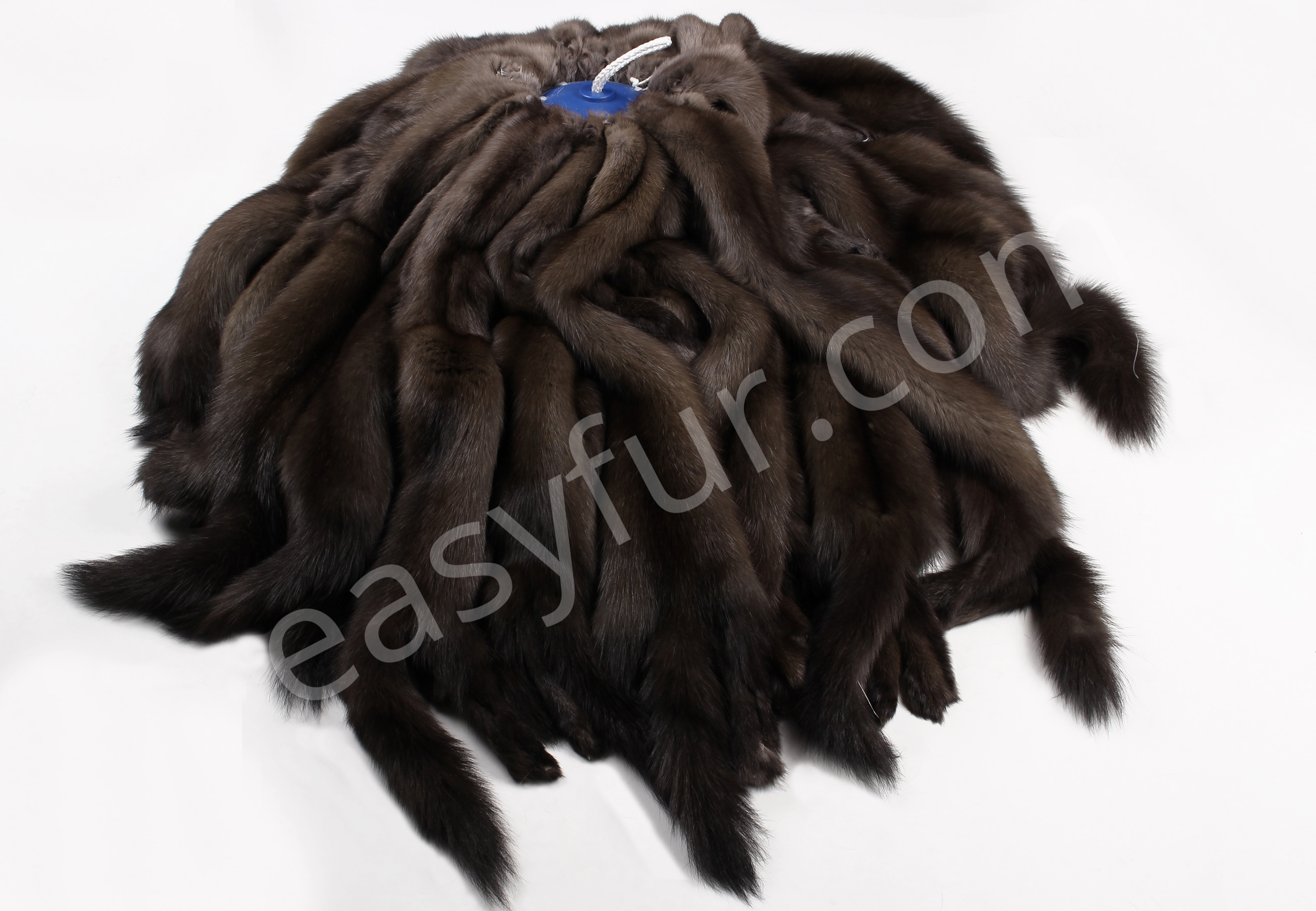 03-5495-Russische-Zobeldelle-MIB-Titanio