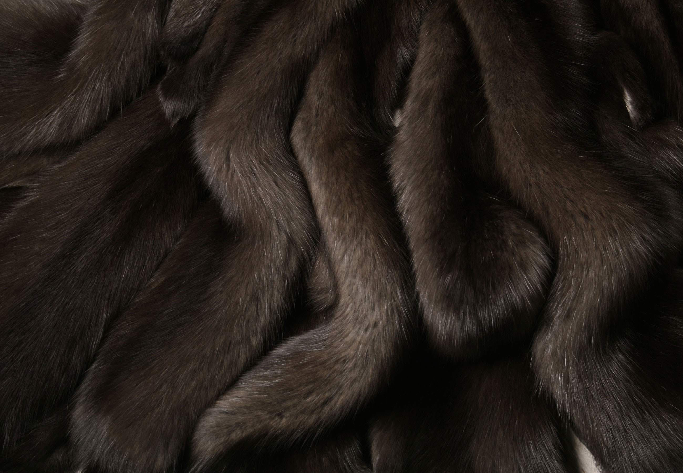 3-4968-Russian-Bargusin-Sable-Skins-Felle