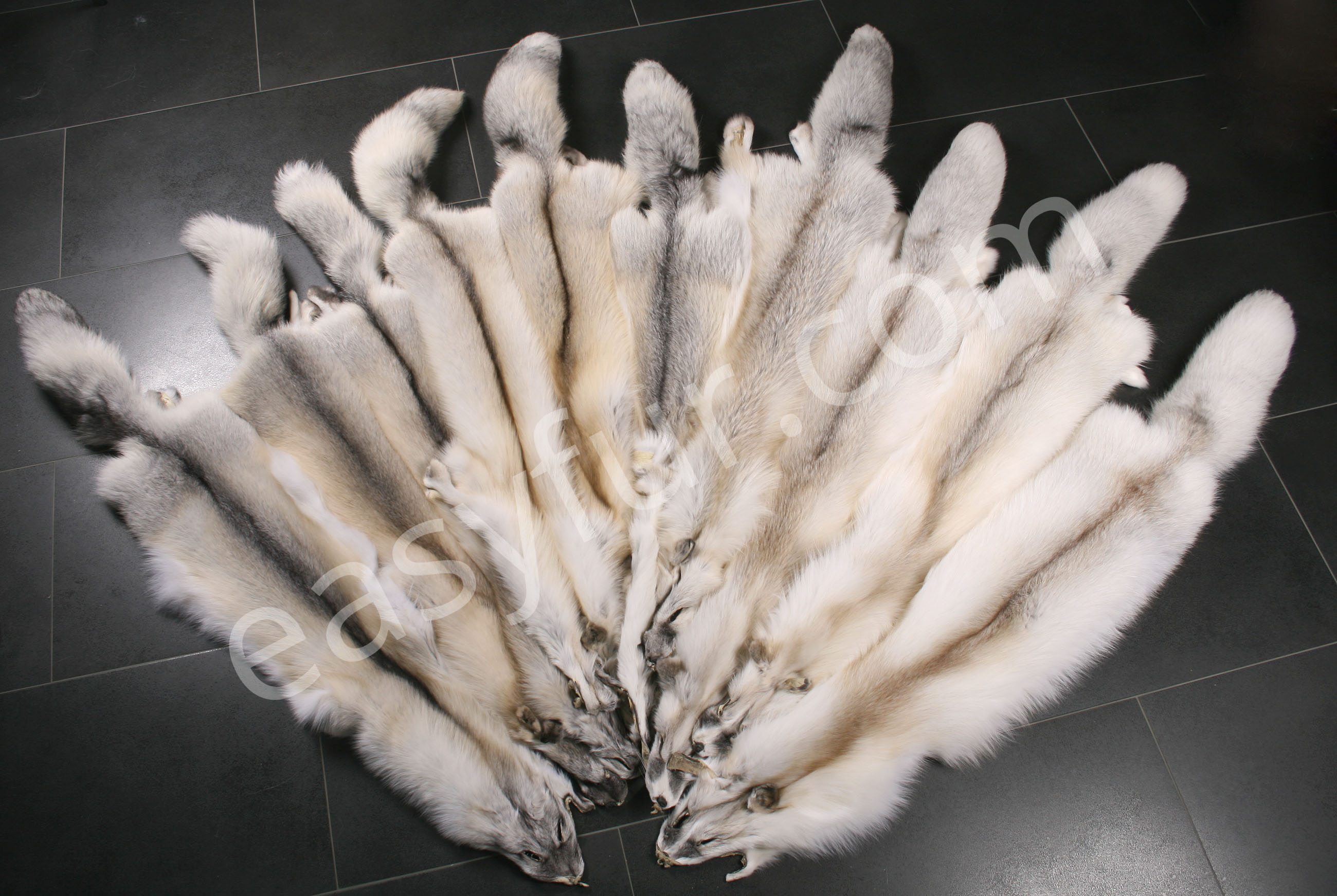 fawn-light-fox-fur-skins-1