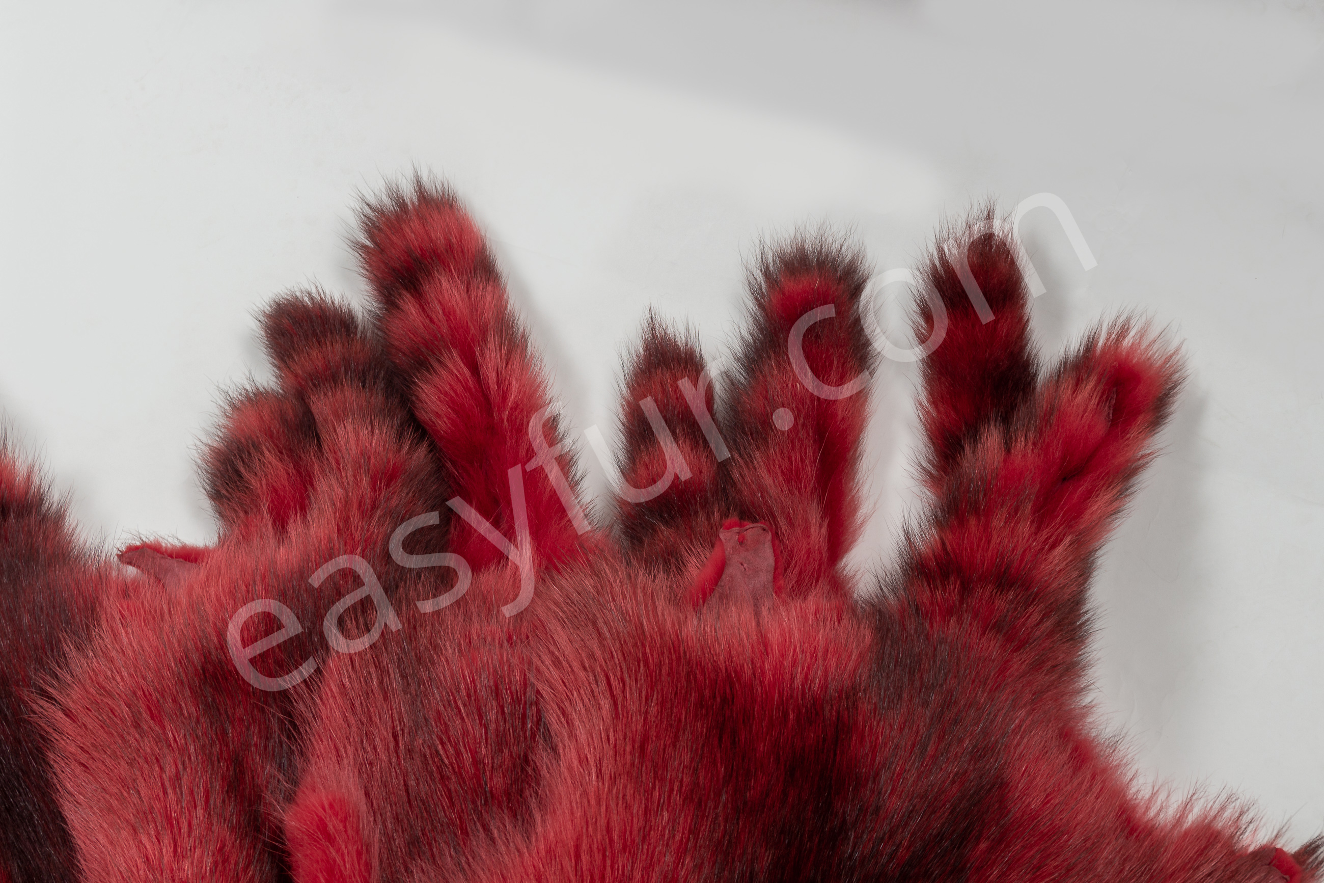 8-6037-Waschbaeren-ferrari-rot-raccoons-ferrari-red-easyfur