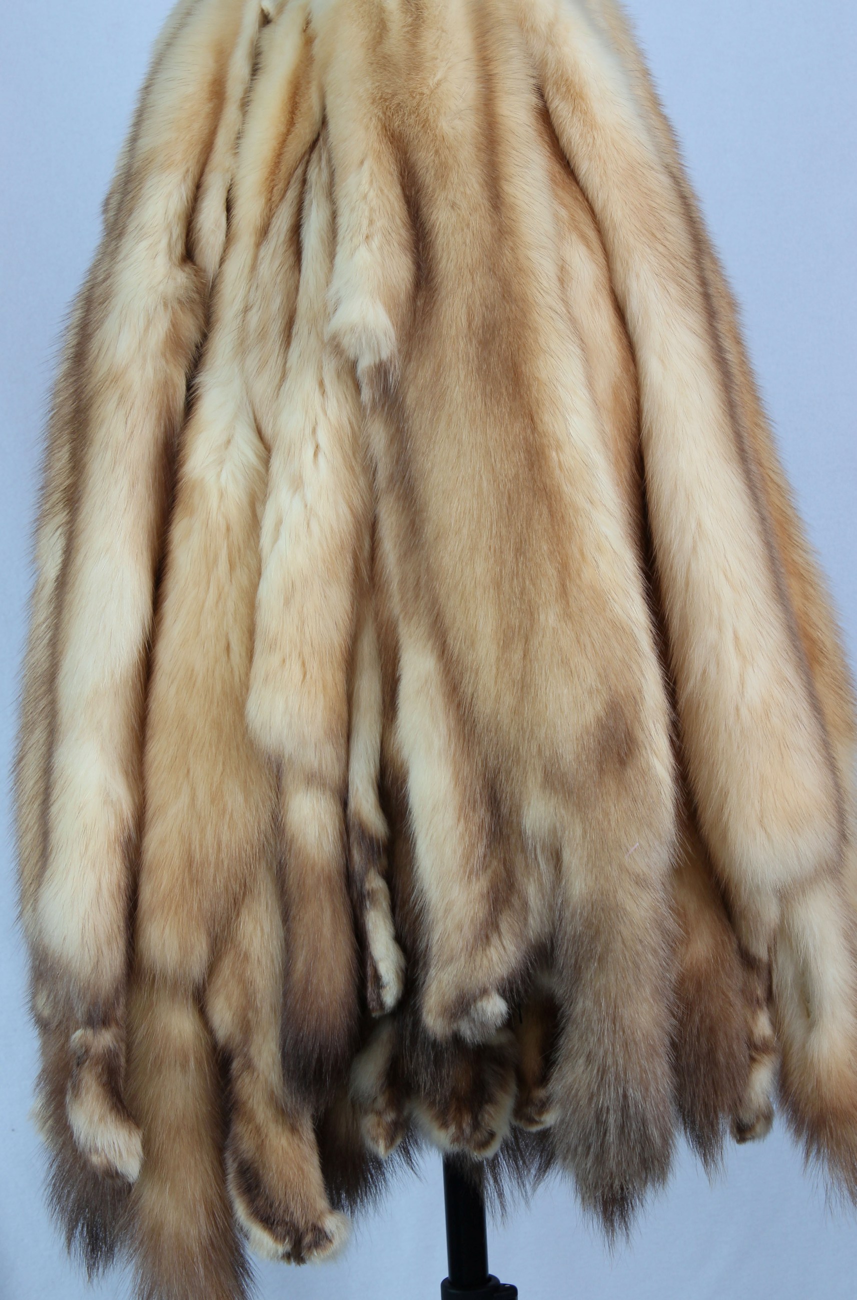 2-russian-barguzin-gold-Sable-Skins-sojuzpushnina