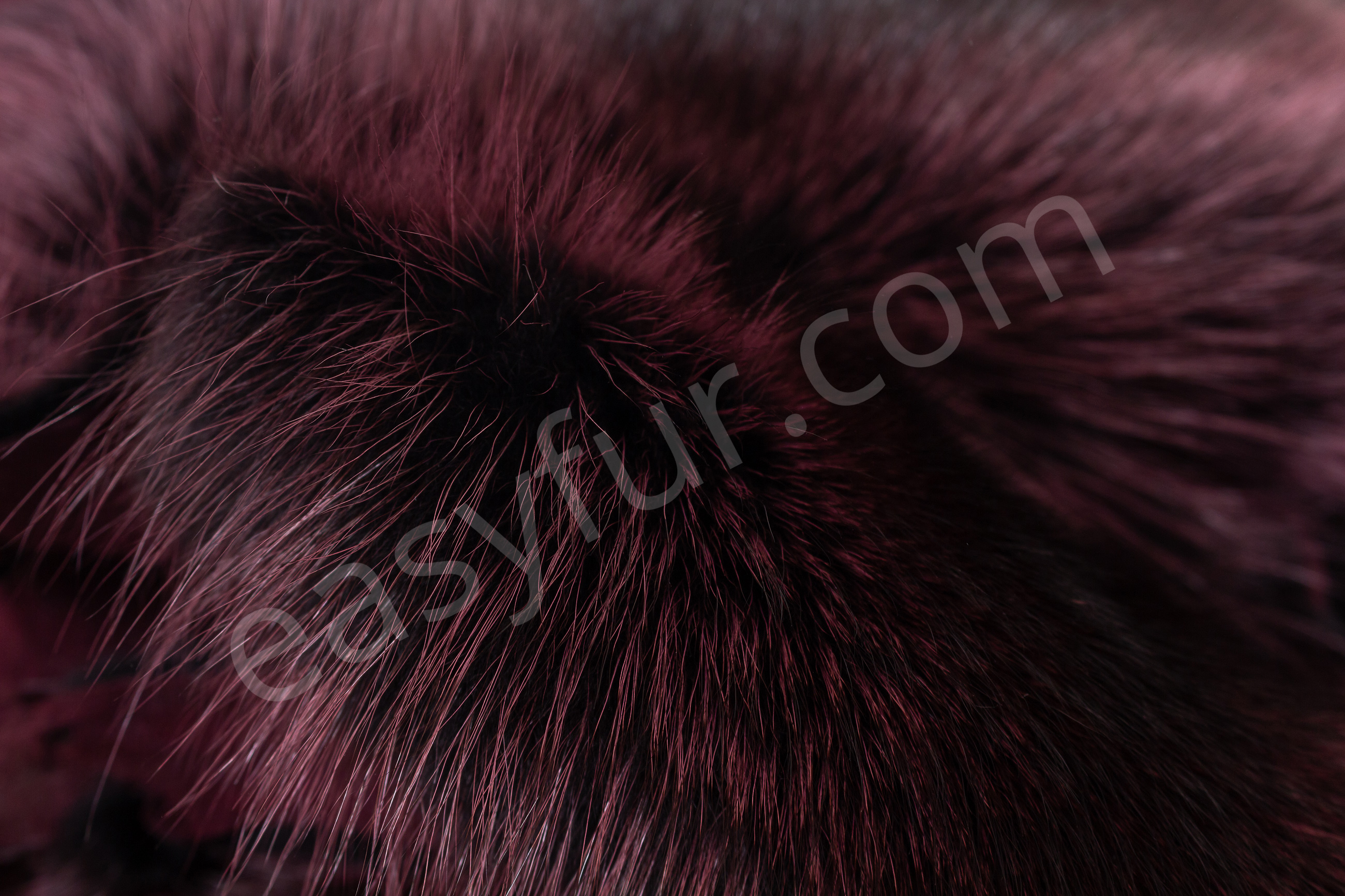 6-5813-Waschbaer-Felle-Aubergine-Racoon-Fur-Skins-bordeaux-Easyfur