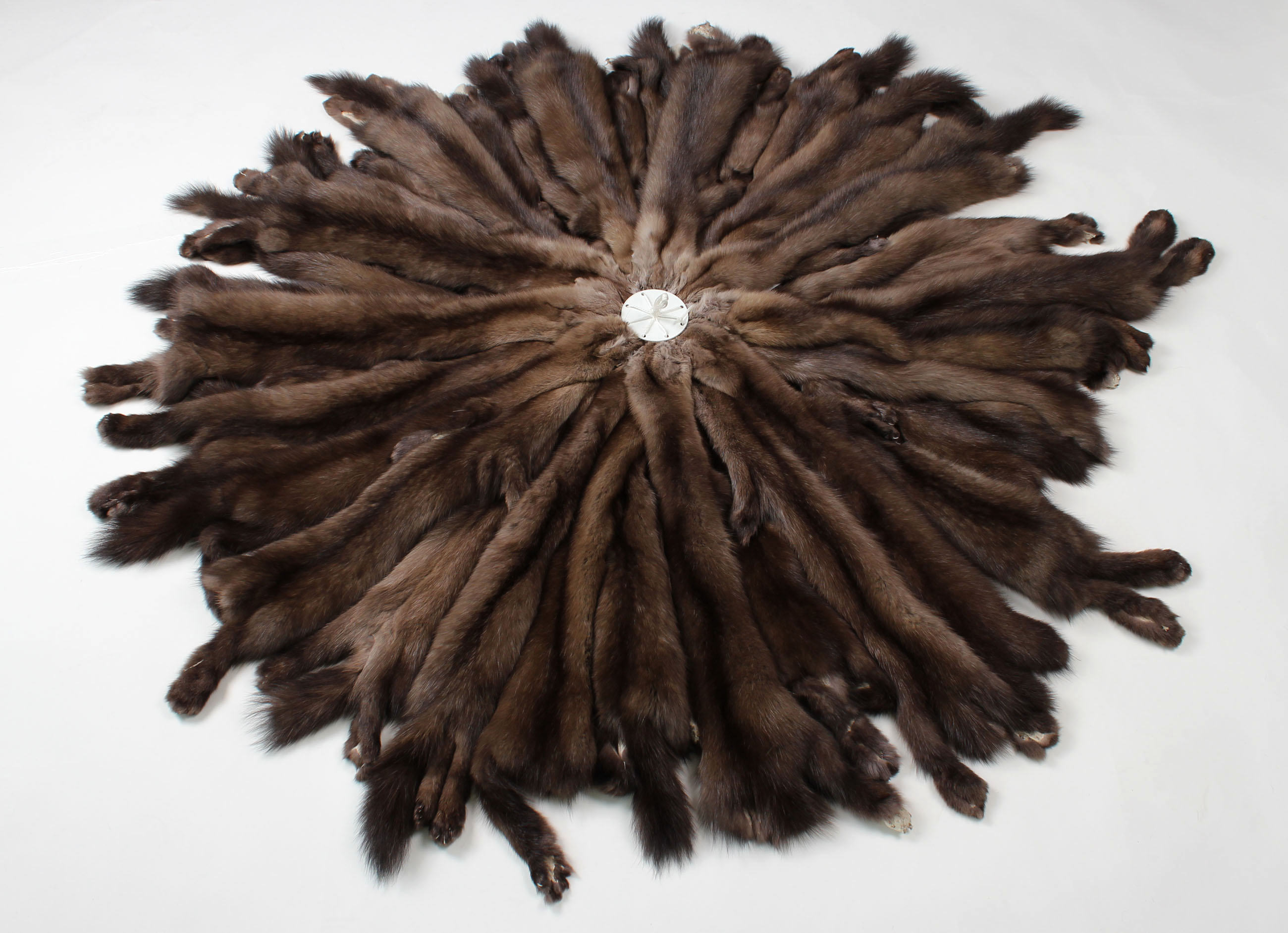 3-russian-Sable-skins-Coulor-Rinforzo-Fume-Tortora