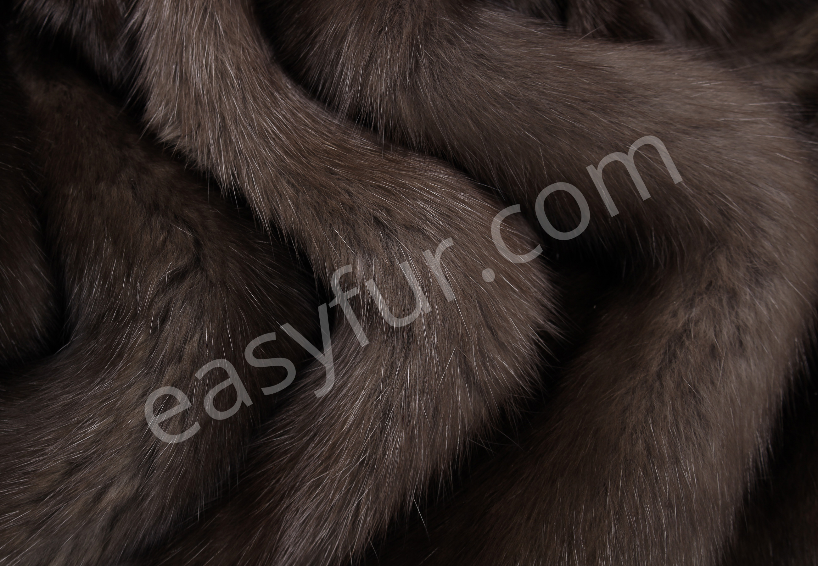 05-5495-Russian-Barguzin-Sables-easyfur